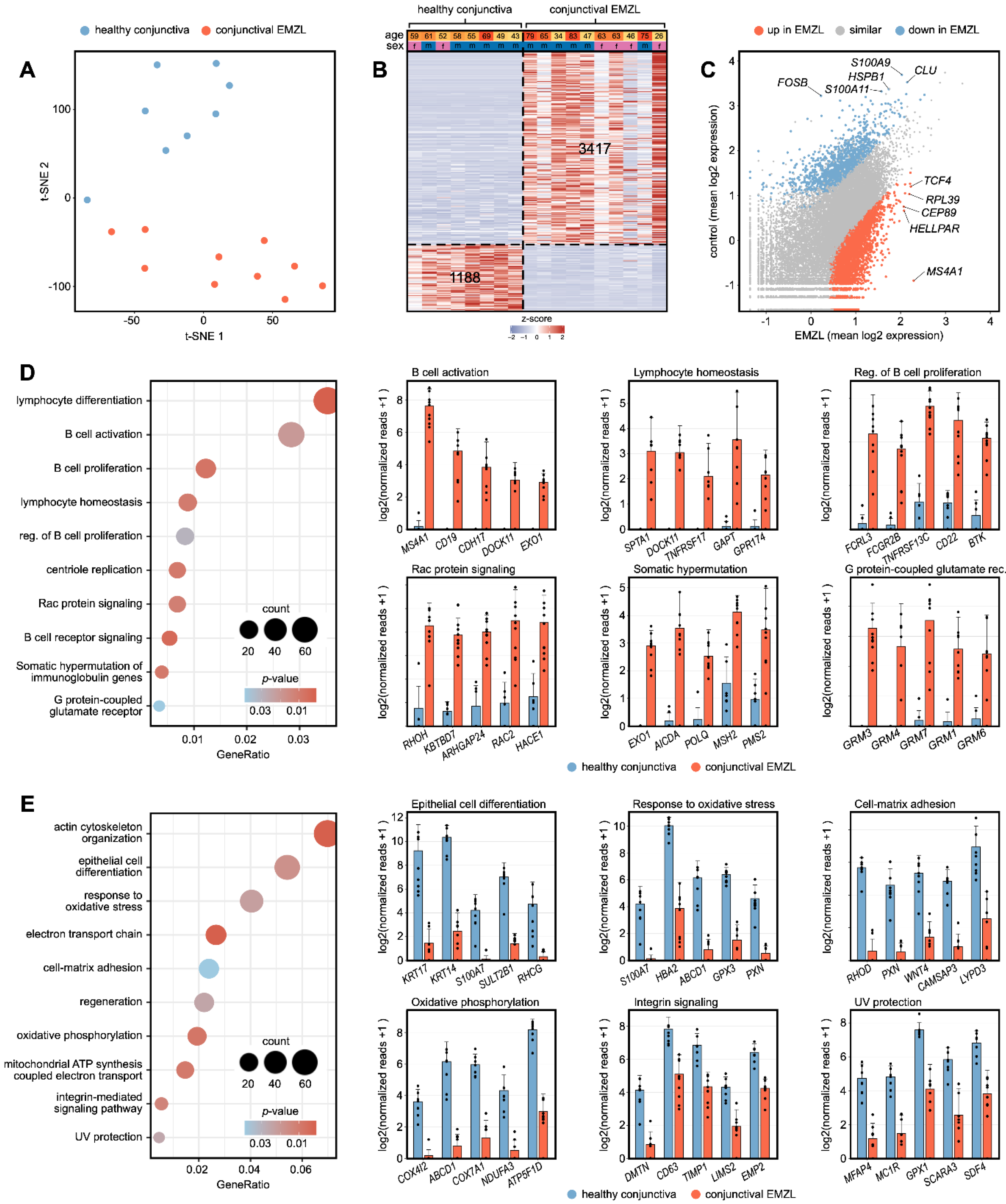 Biomolecules 13 00115 g001 Biomolecules 13 00115 g001