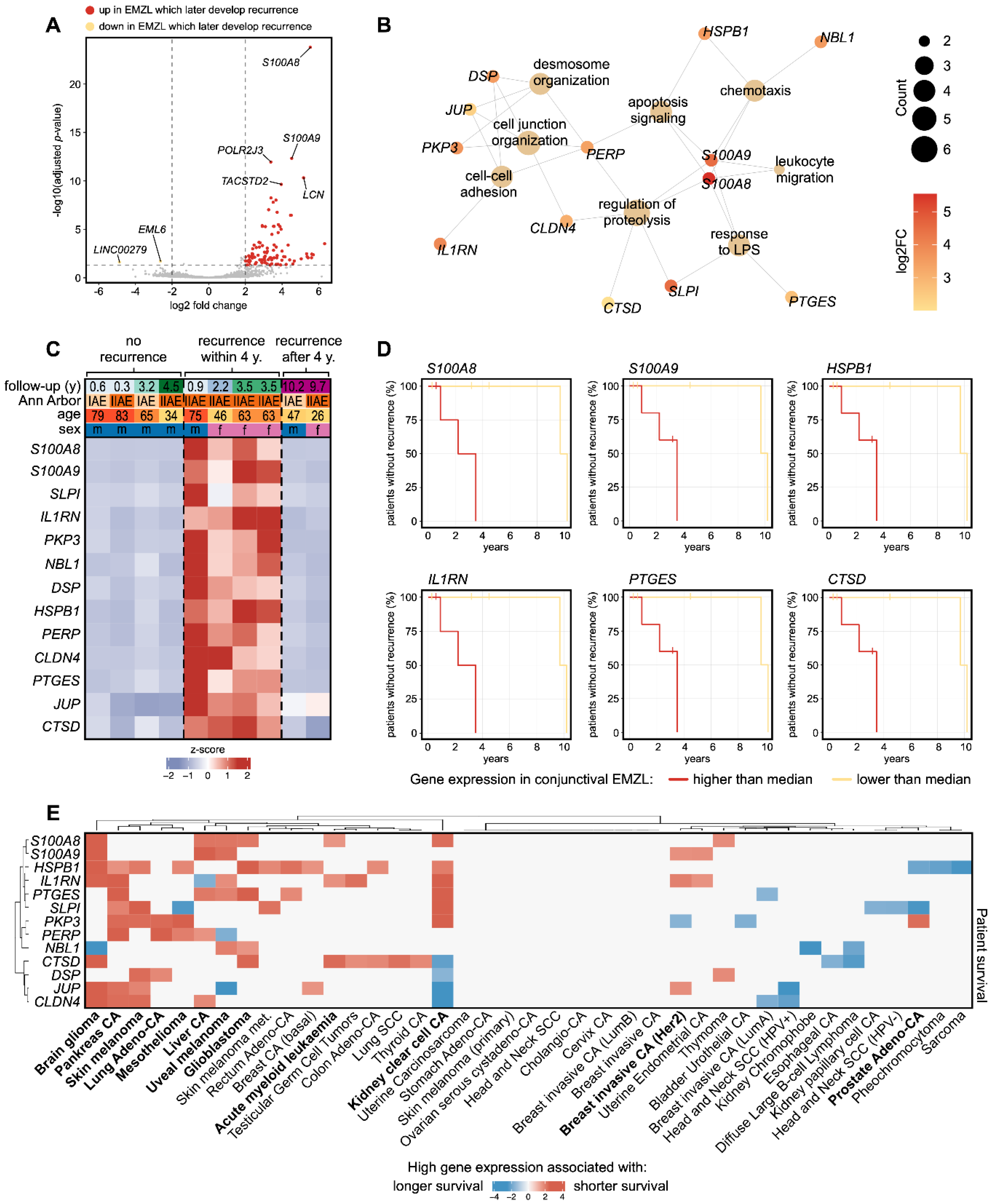Biomolecules 13 00115 g003 Biomolecules 13 00115 g003