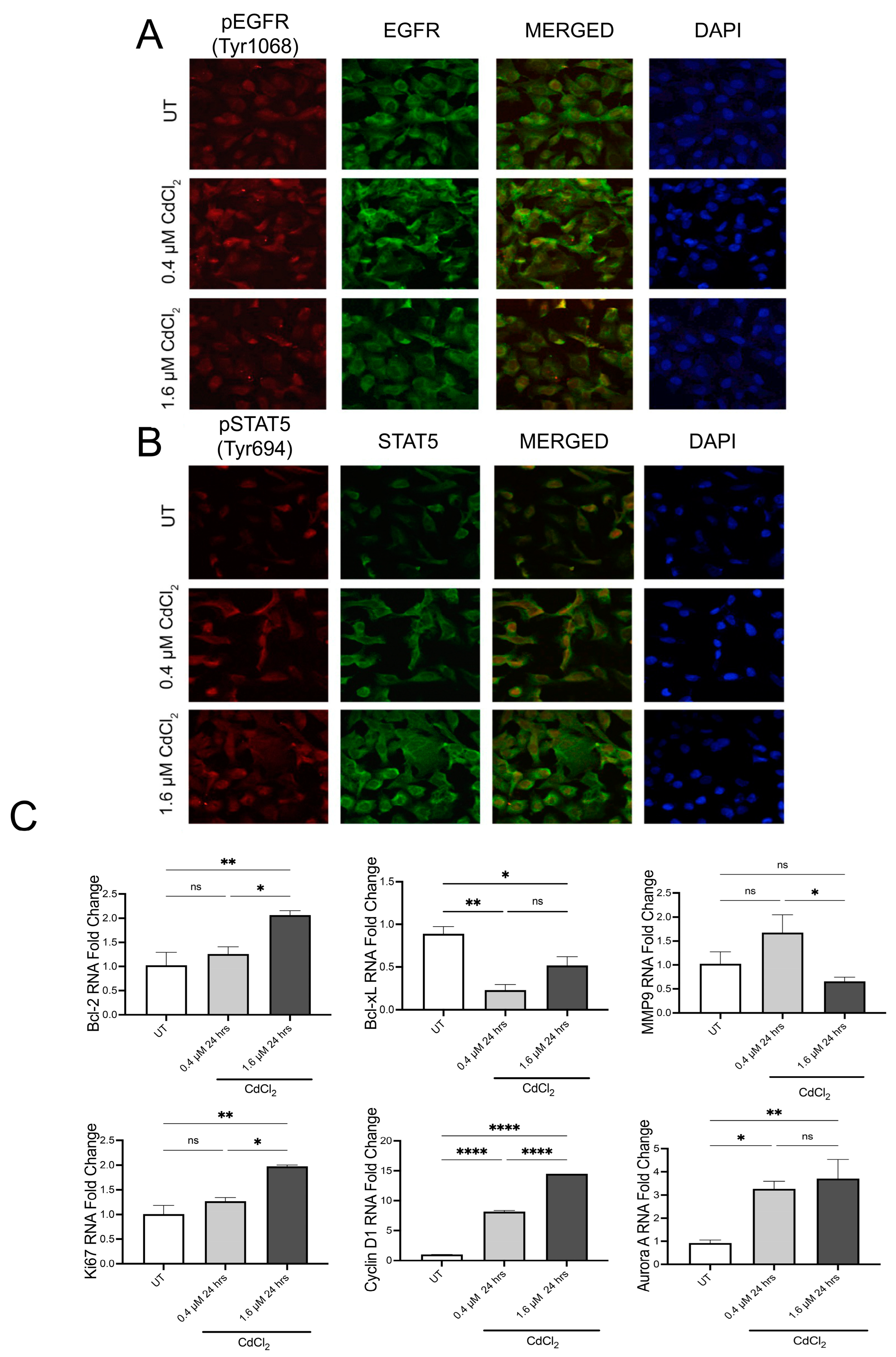 Biomolecules 13 00116 g002 Biomolecules 13 00116 g002