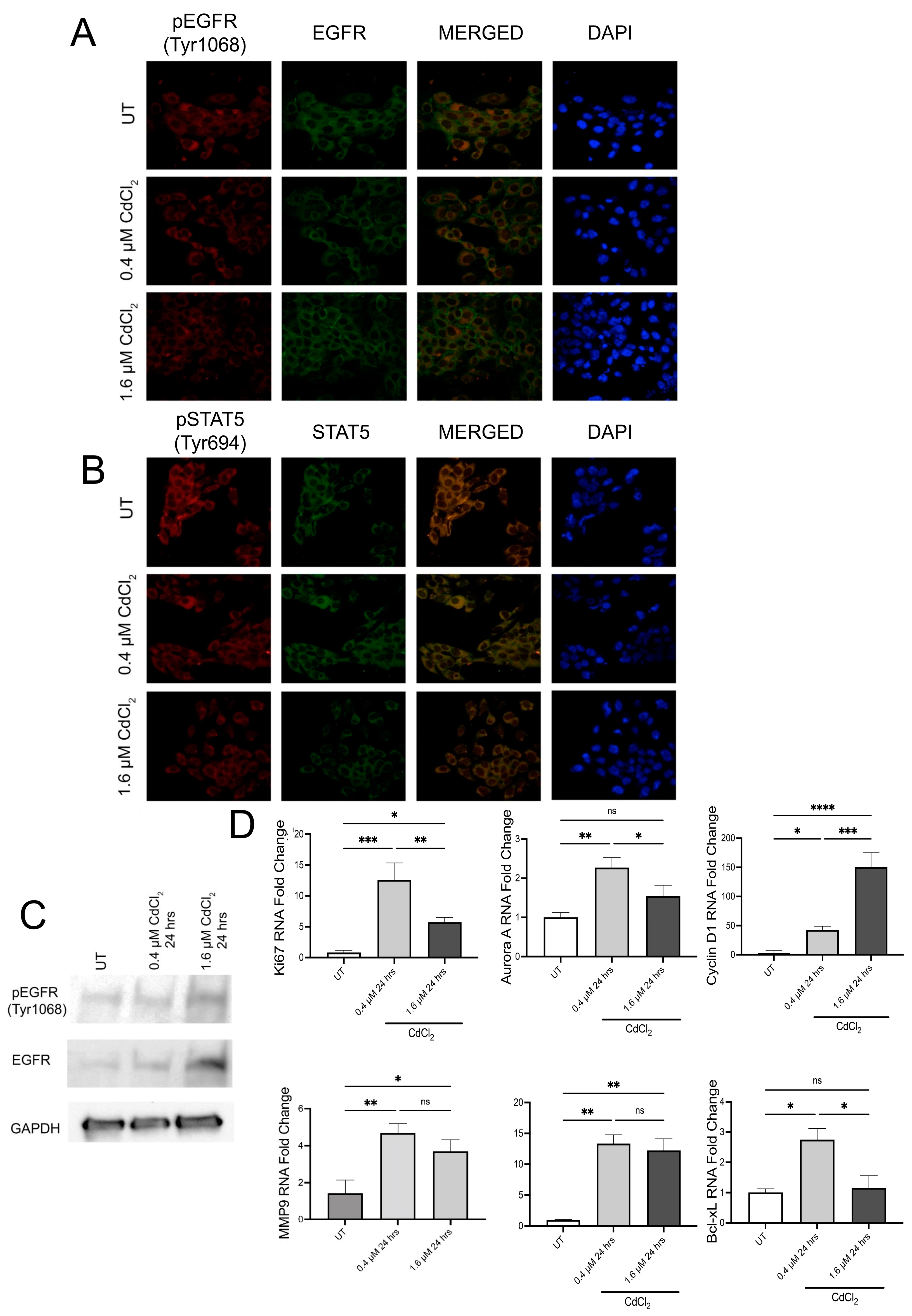 Biomolecules 13 00116 g003 Biomolecules 13 00116 g003