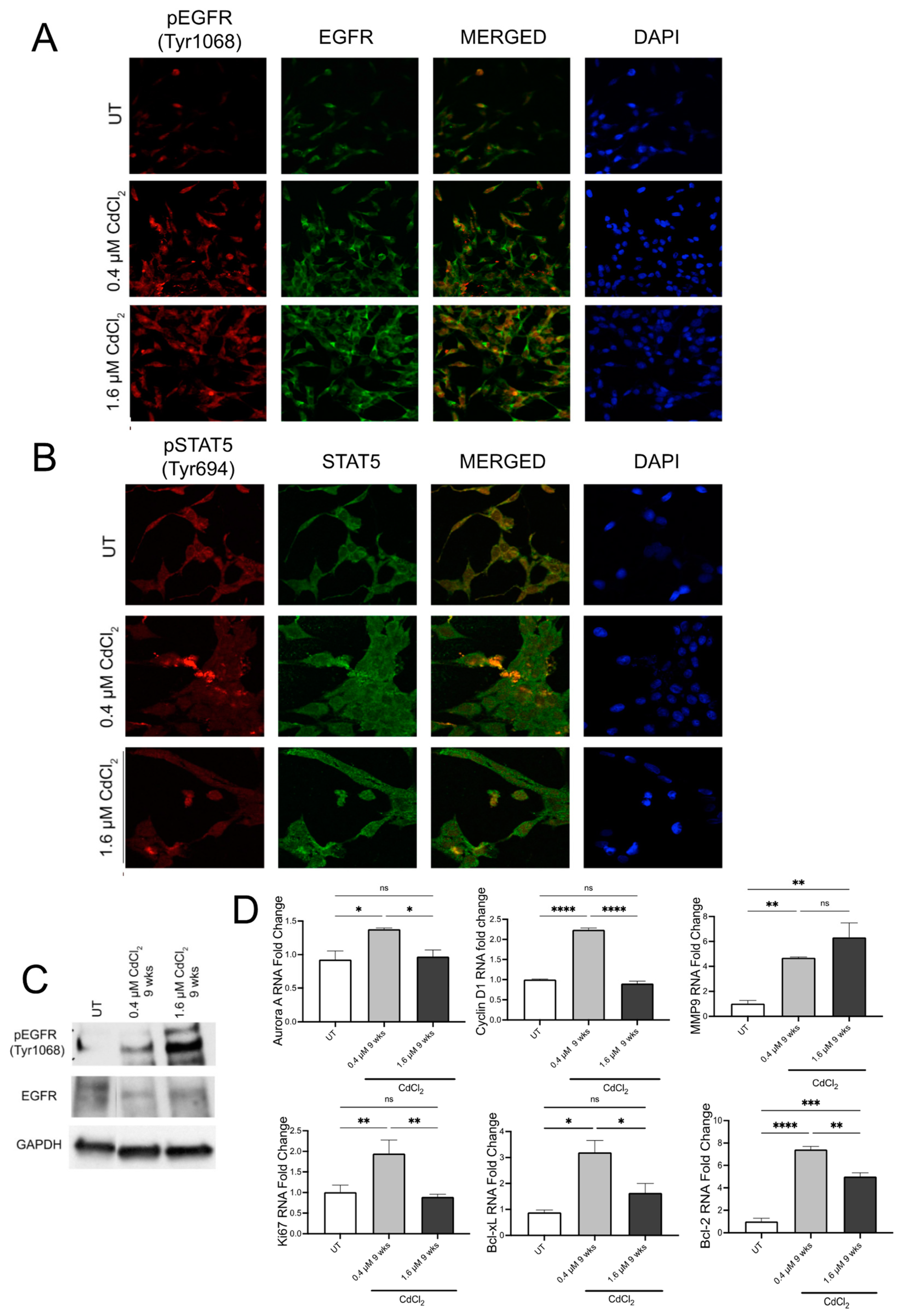 Biomolecules 13 00116 g005 Biomolecules 13 00116 g005