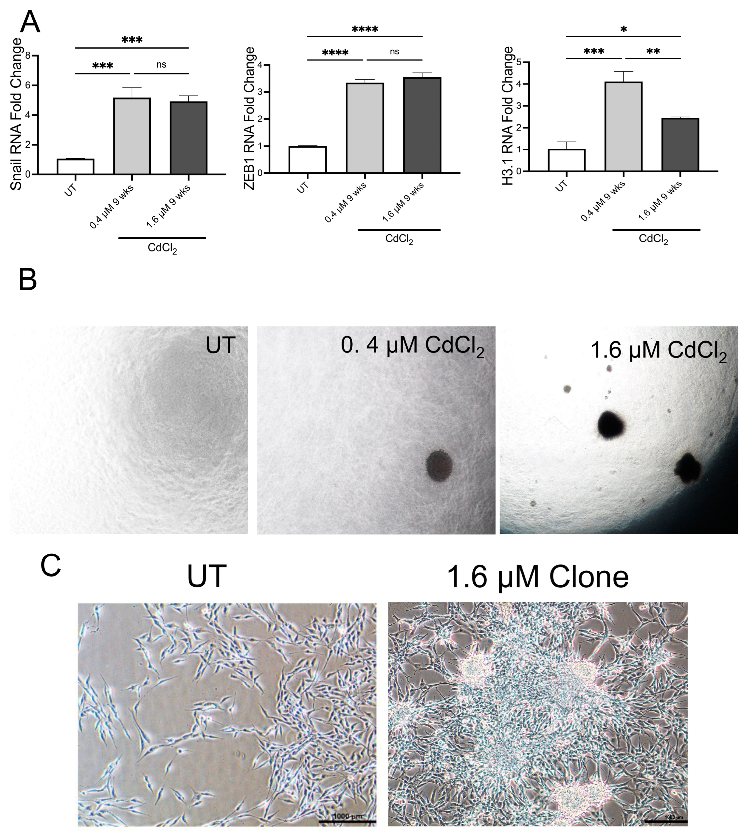 Biomolecules 13 00116 g007 Biomolecules 13 00116 g007