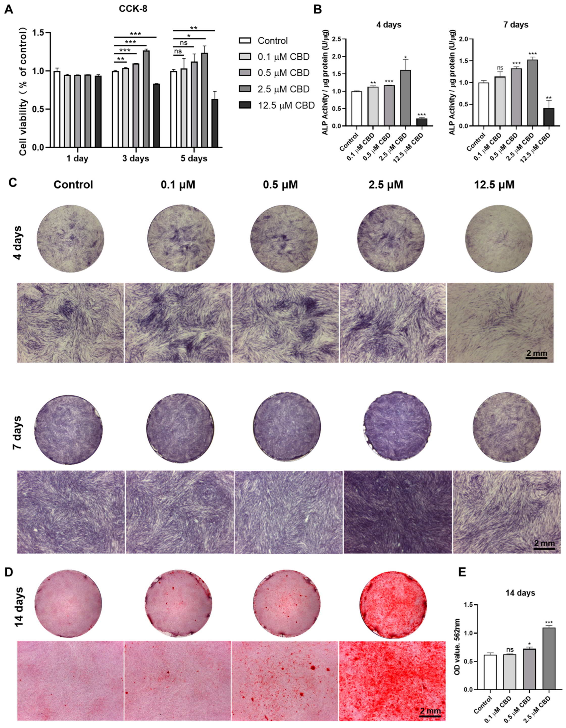 Biomolecules 13 00118 g002 Biomolecules 13 00118 g002