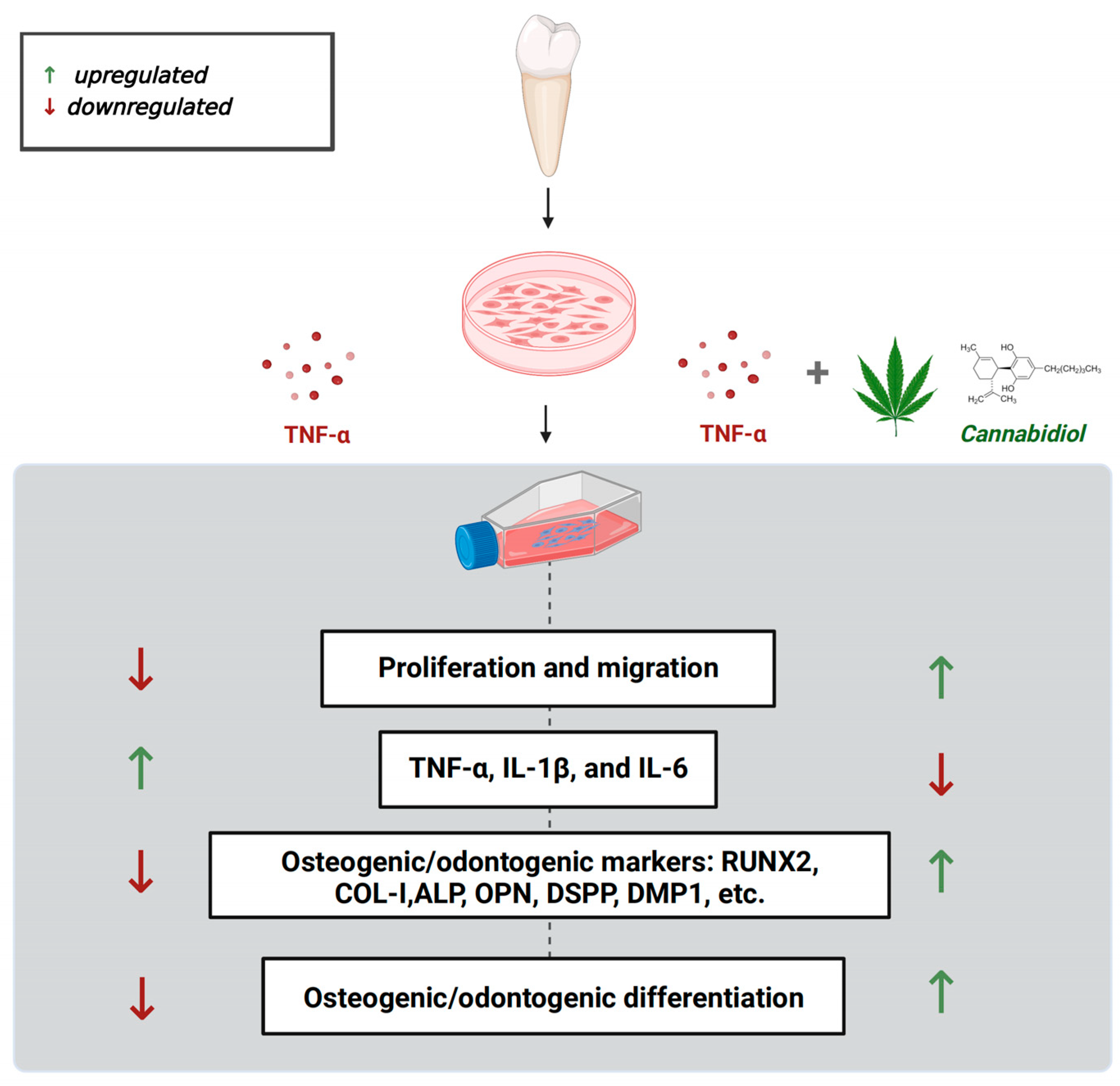 Biomolecules 13 00118 g008 Biomolecules 13 00118 g008