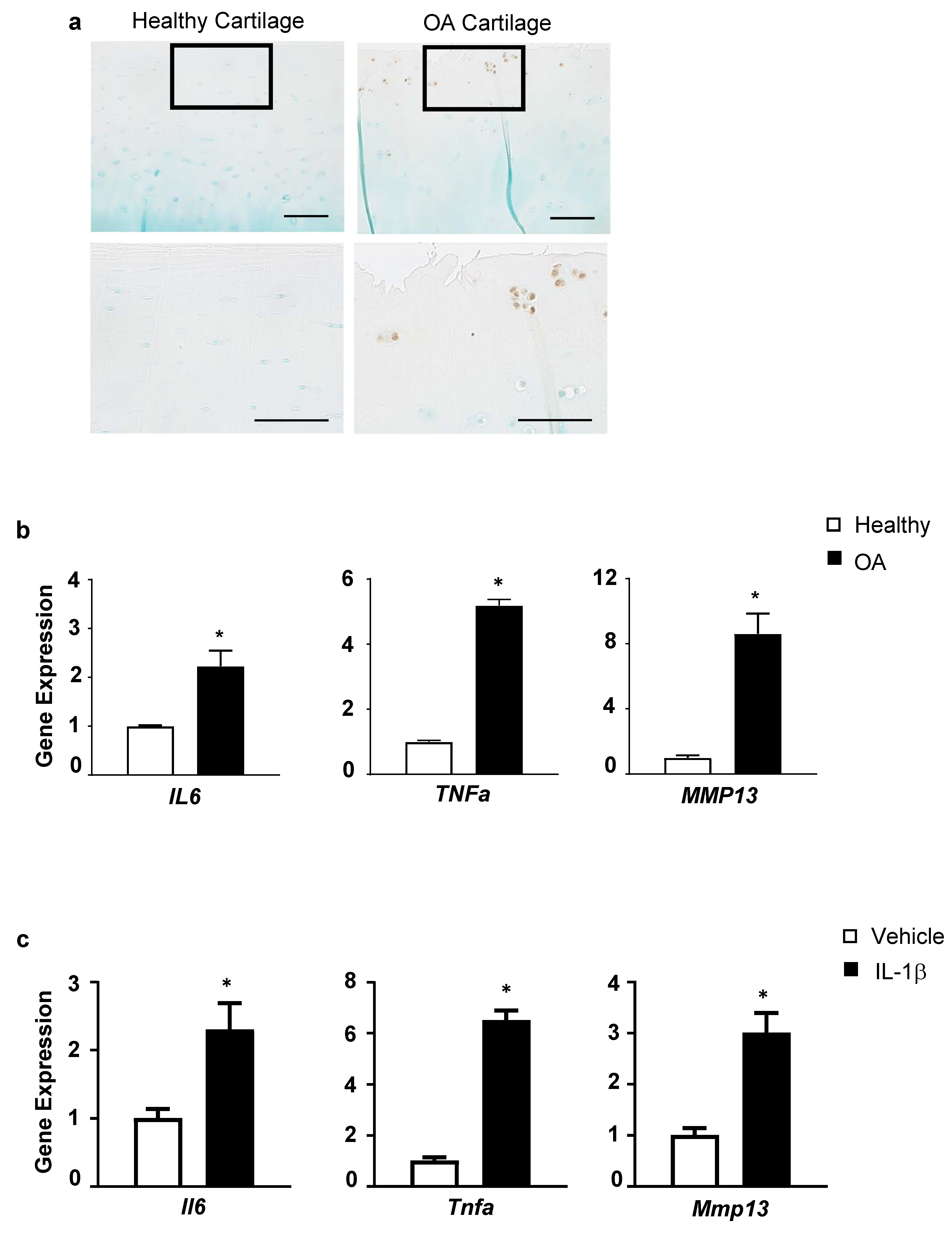 Biomolecules 13 00123 g001