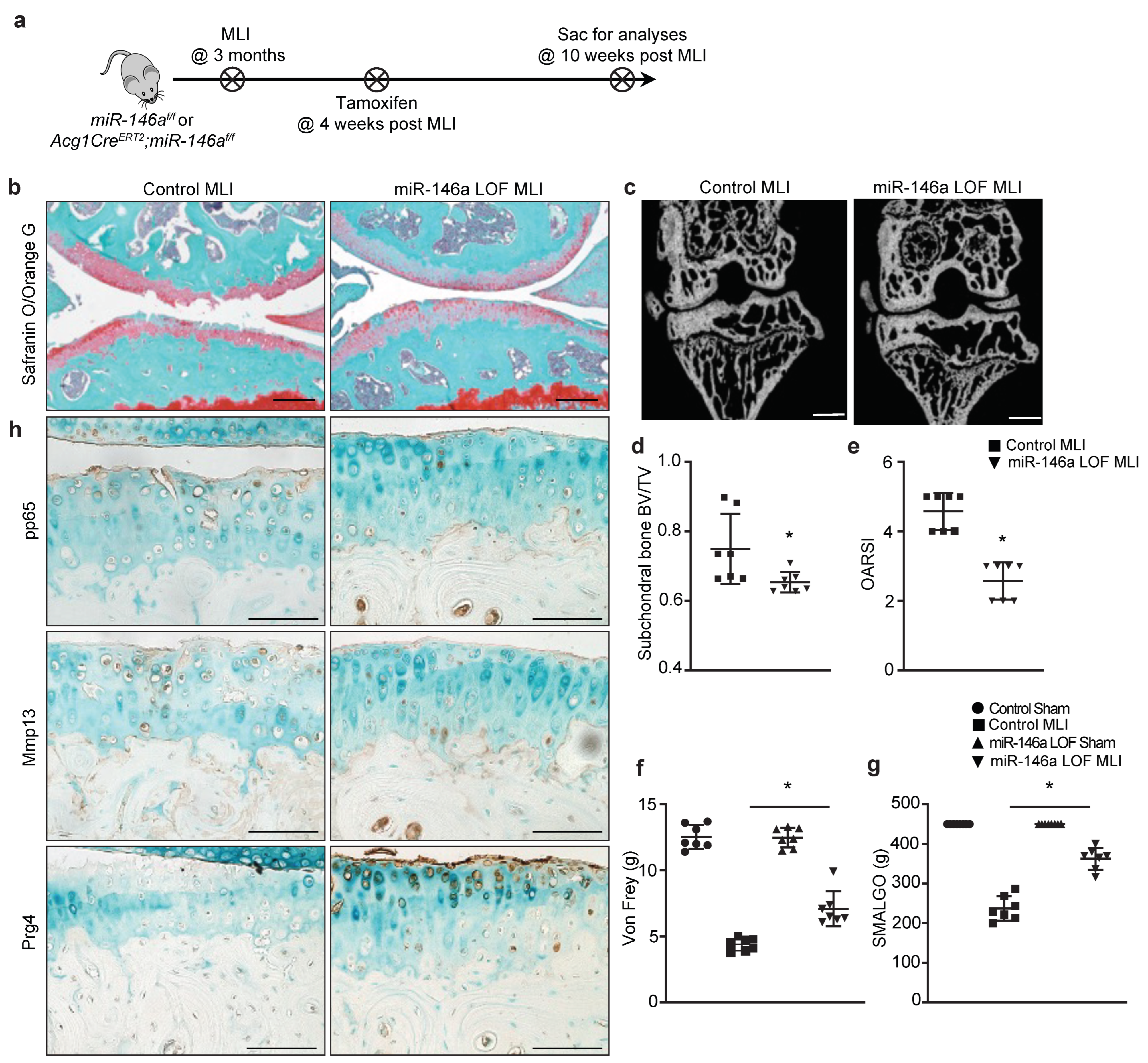 Biomolecules 13 00123 g004