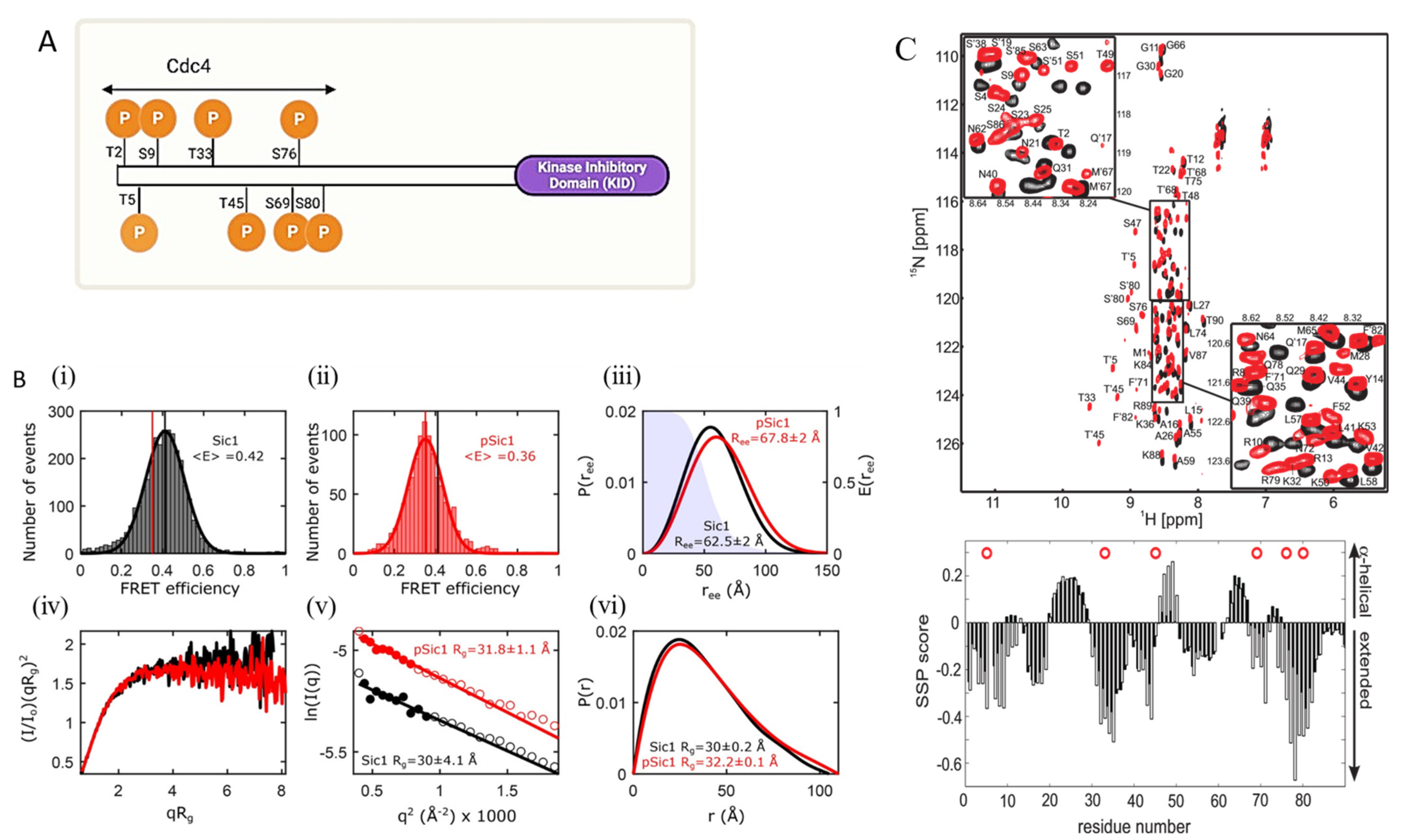 Biomolecules 13 00124 g003 Biomolecules 13 00124 g003