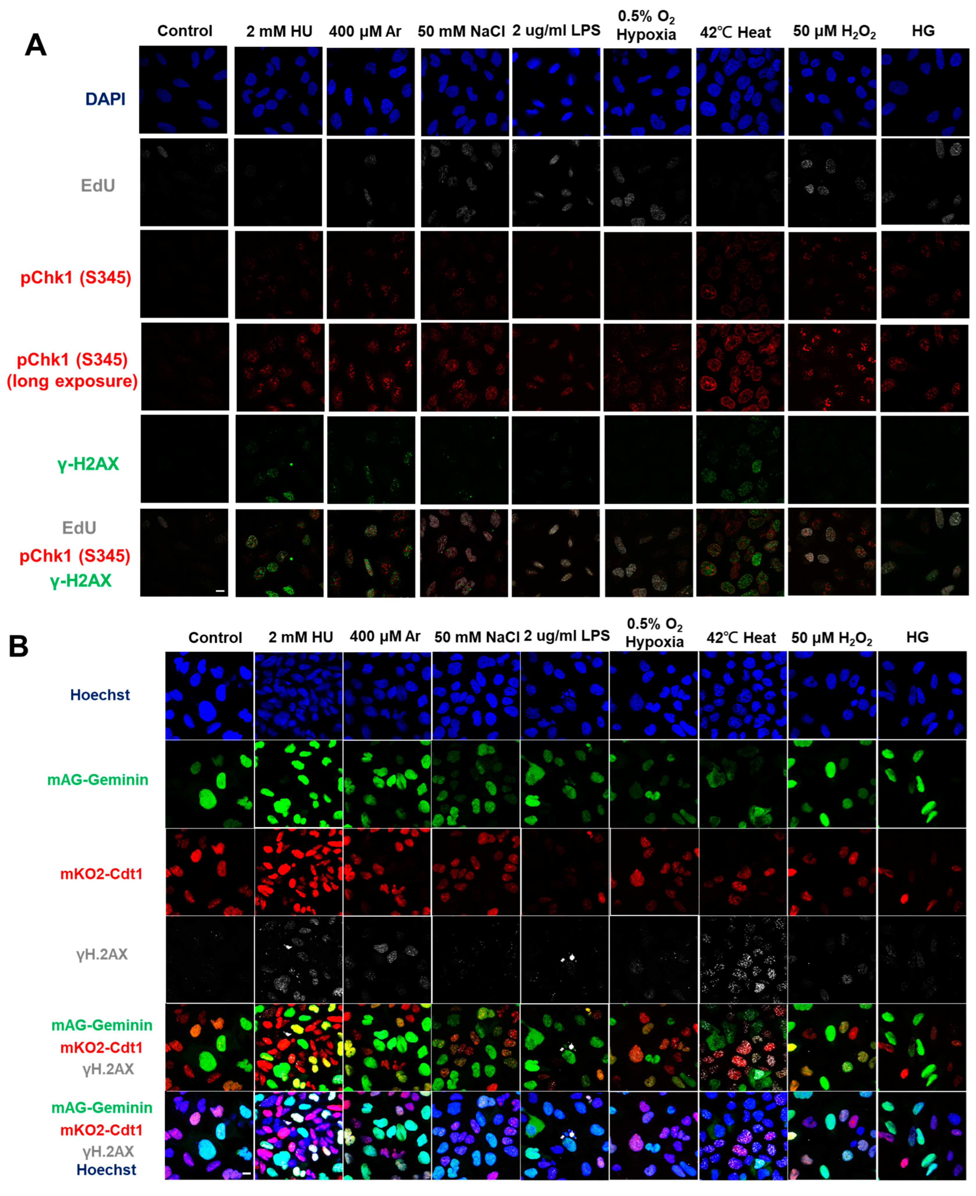 Biomolecules 13 00125 g001a Biomolecules 13 00125 g001a