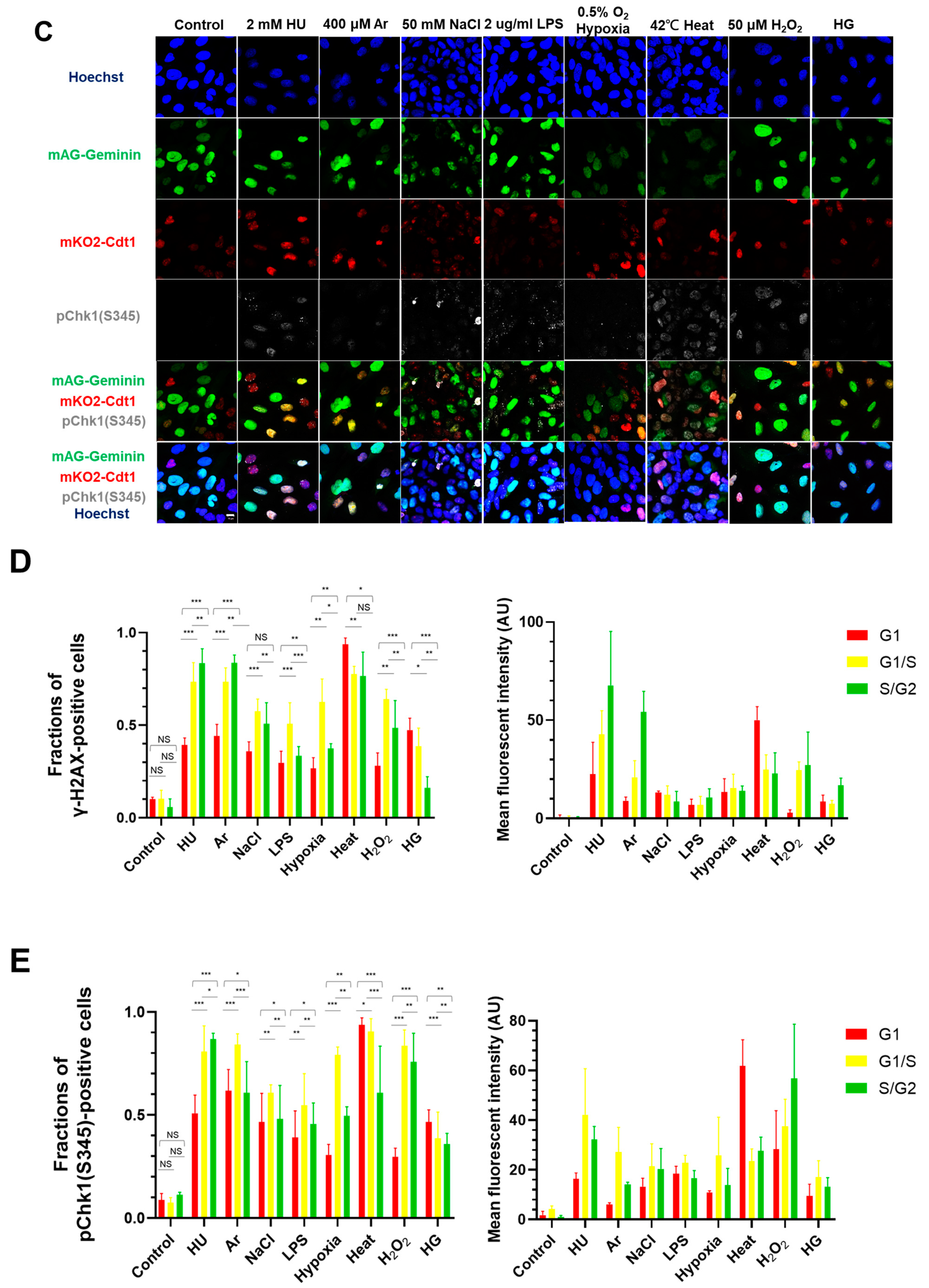 Biomolecules 13 00125 g001b Biomolecules 13 00125 g001b