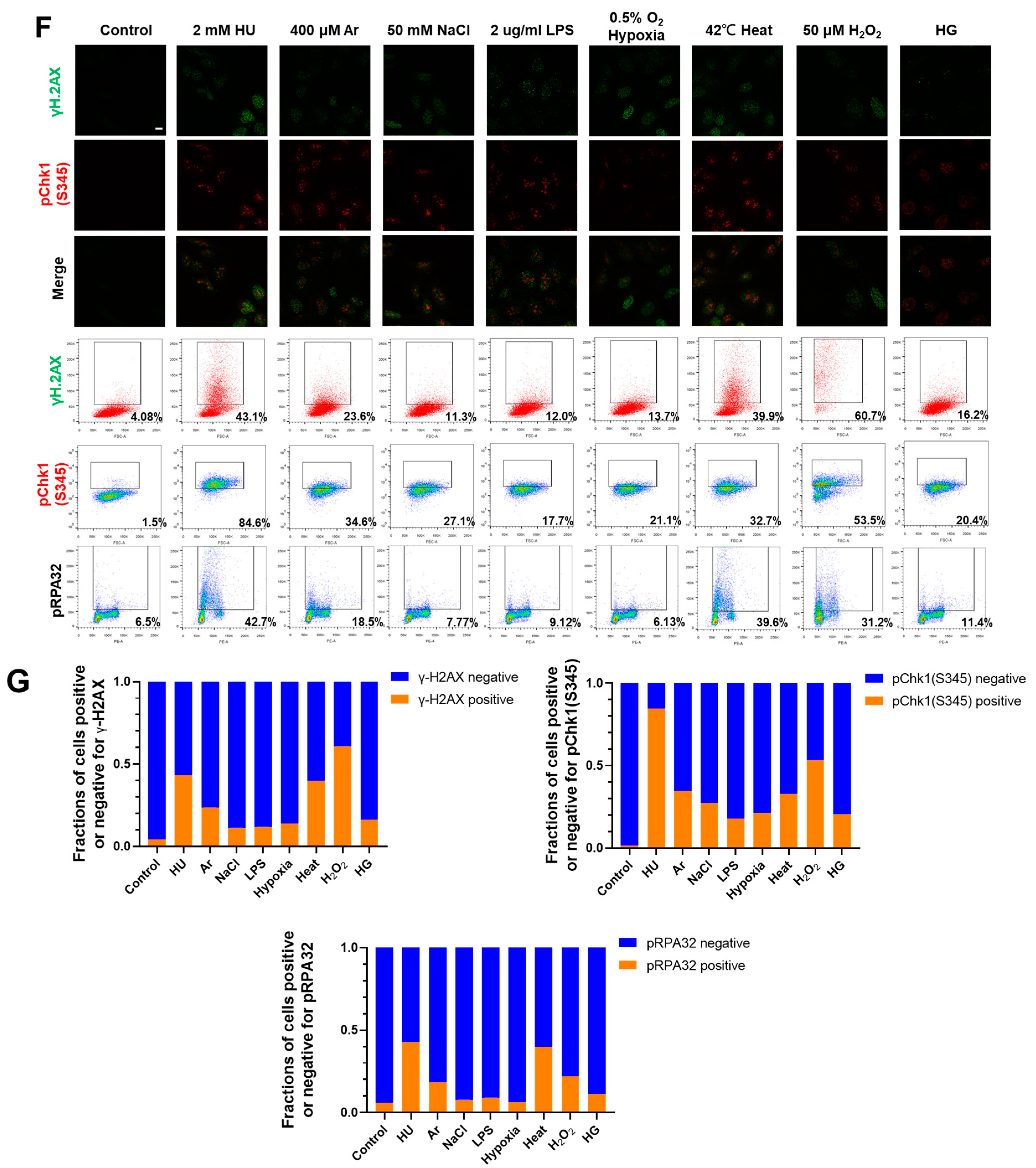 Biomolecules 13 00125 g001c Biomolecules 13 00125 g001c