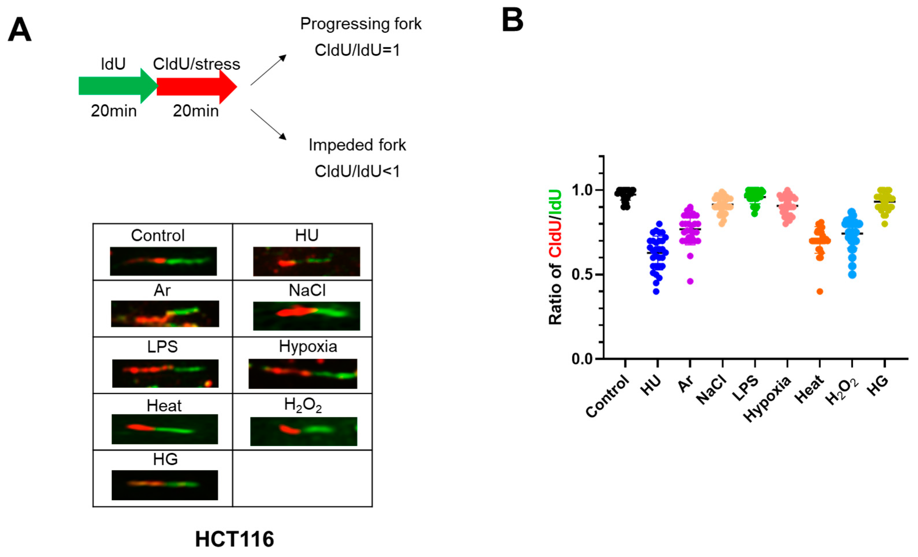 Biomolecules 13 00125 g003 Biomolecules 13 00125 g003