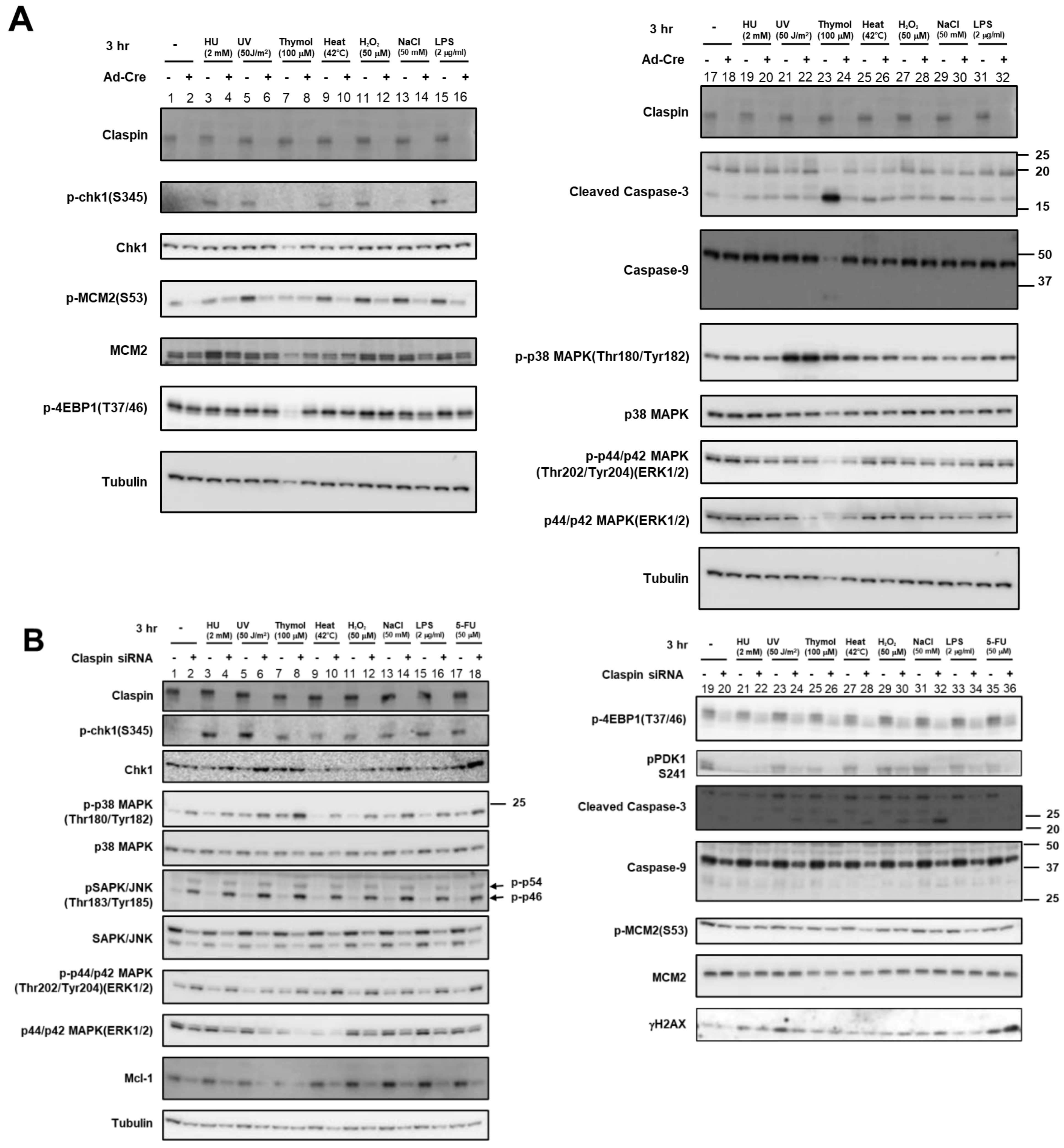 Biomolecules 13 00125 g005a Biomolecules 13 00125 g005a