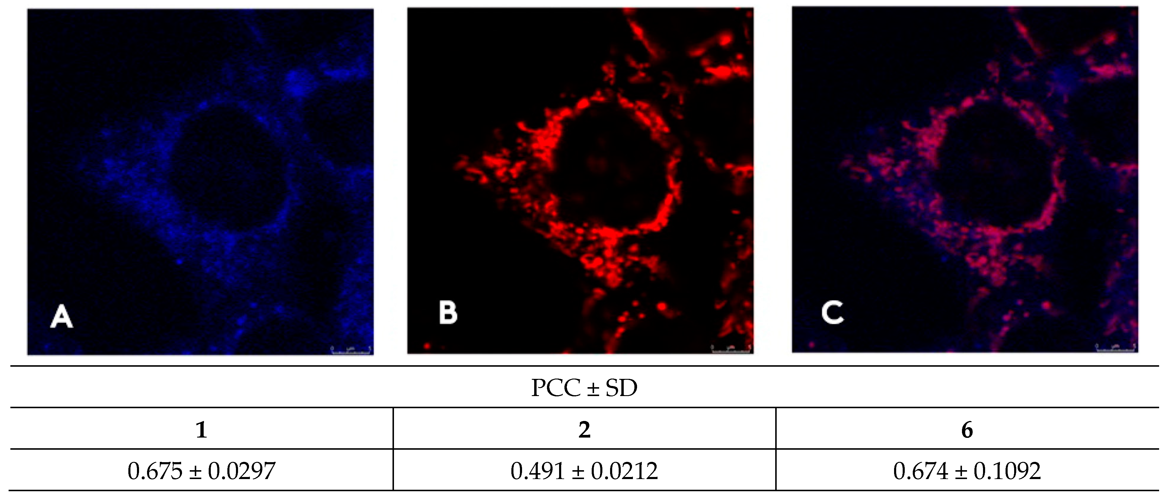 Biomolecules 13 00128 g008