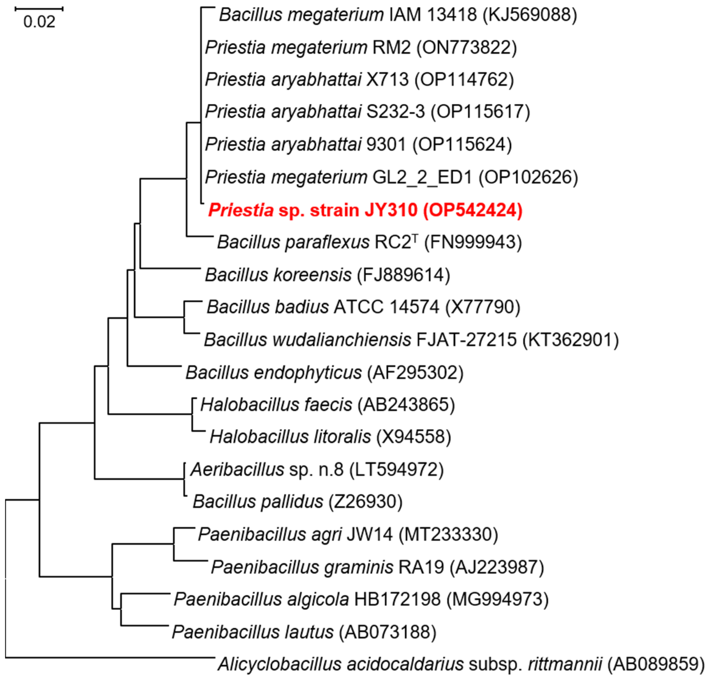 Biomolecules 13 00131 g001 Biomolecules 13 00131 g001