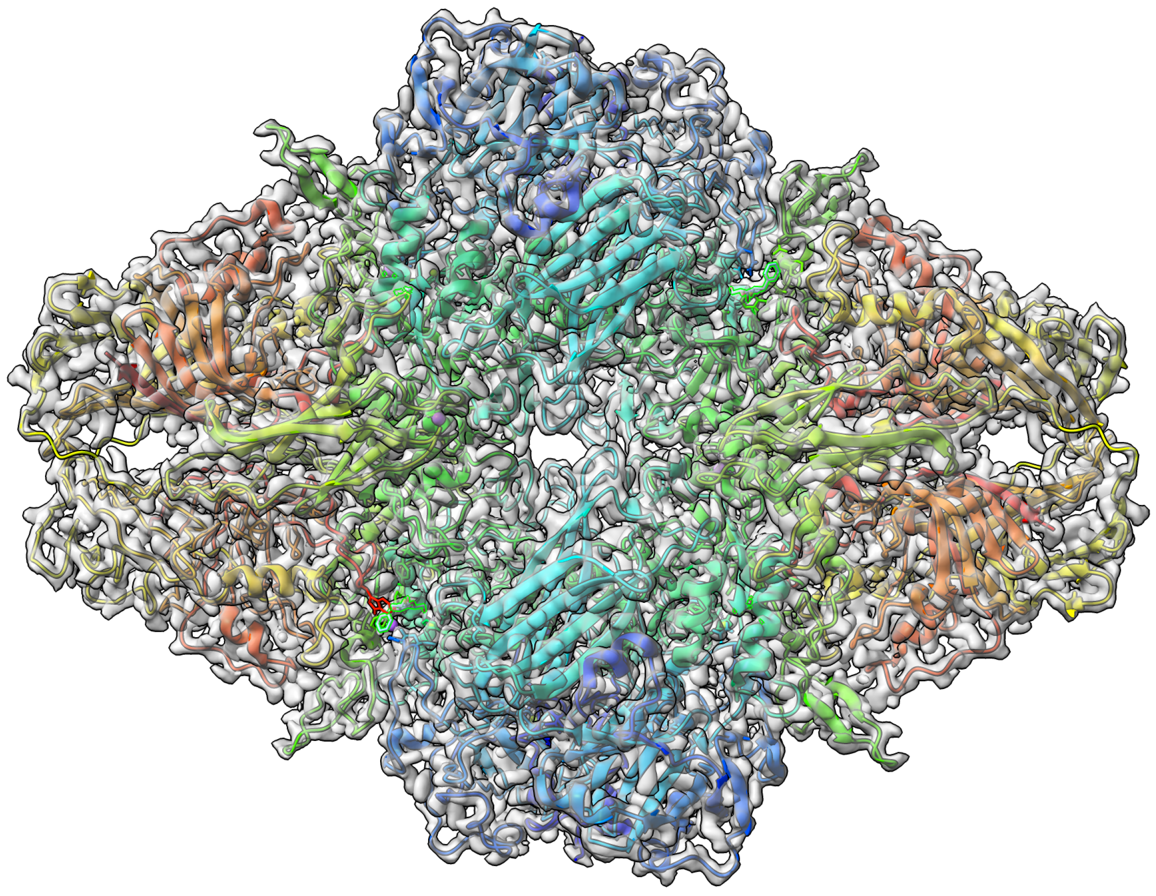 Biomolecules 13 00132 g003