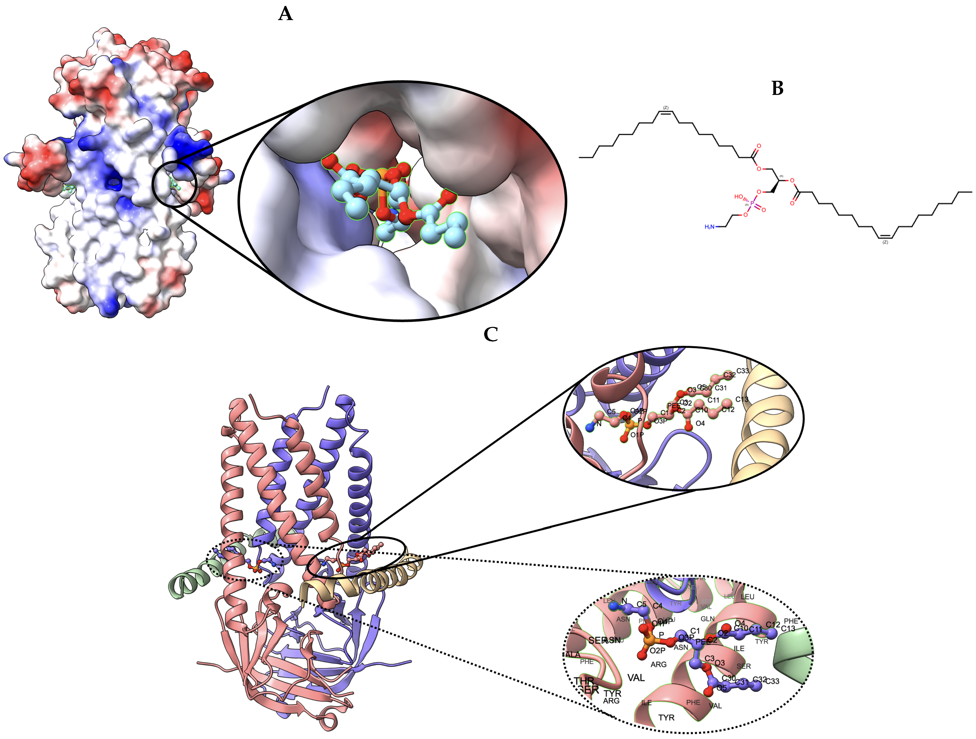 Biomolecules 13 00132 g008