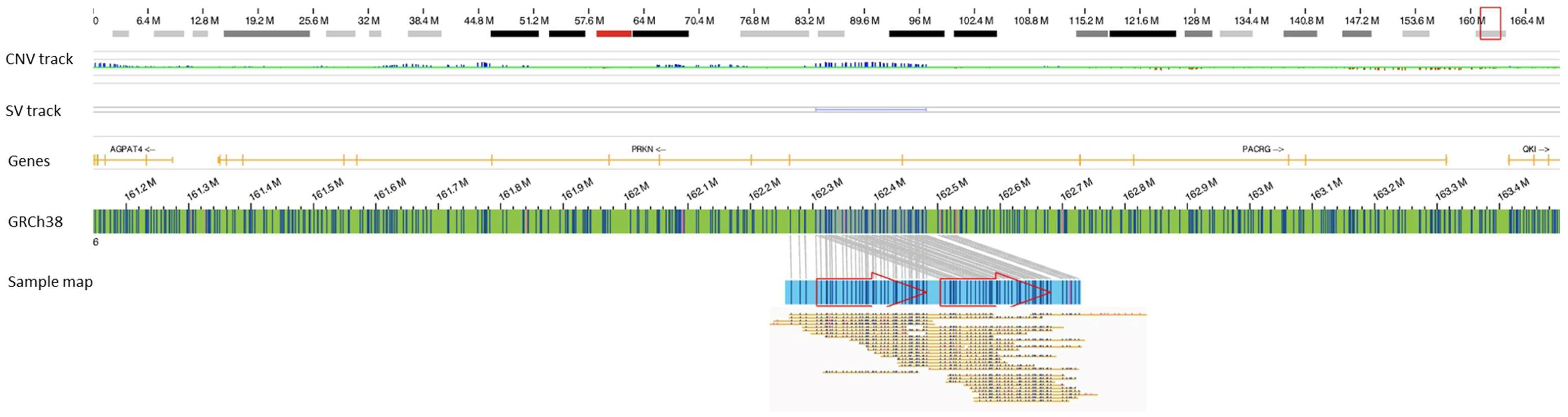 Biomolecules 13 00133 g001 Biomolecules 13 00133 g001
