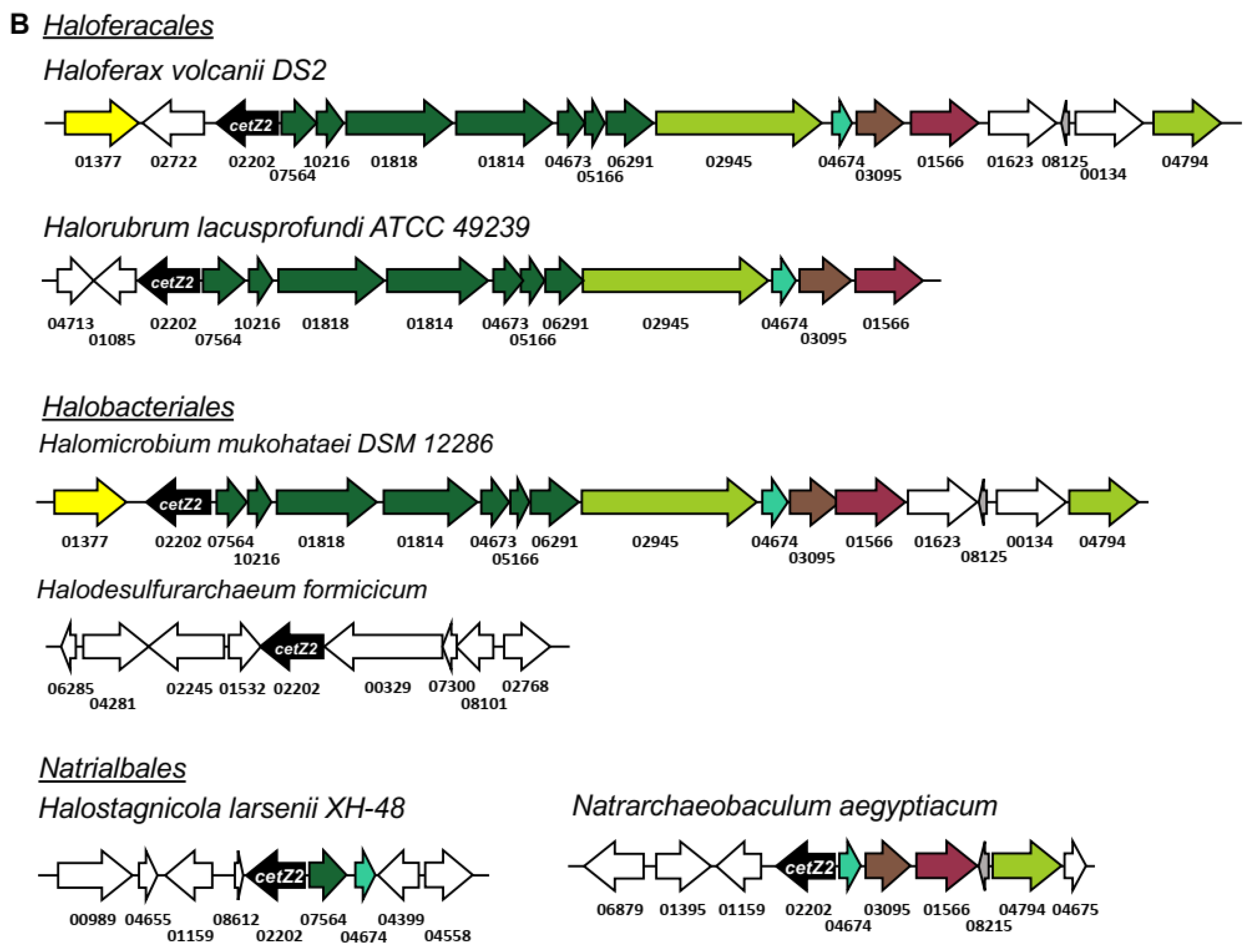 Biomolecules 13 00134 g006b