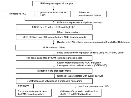 HCC: RNA-Sequencing in Cirrhosis
