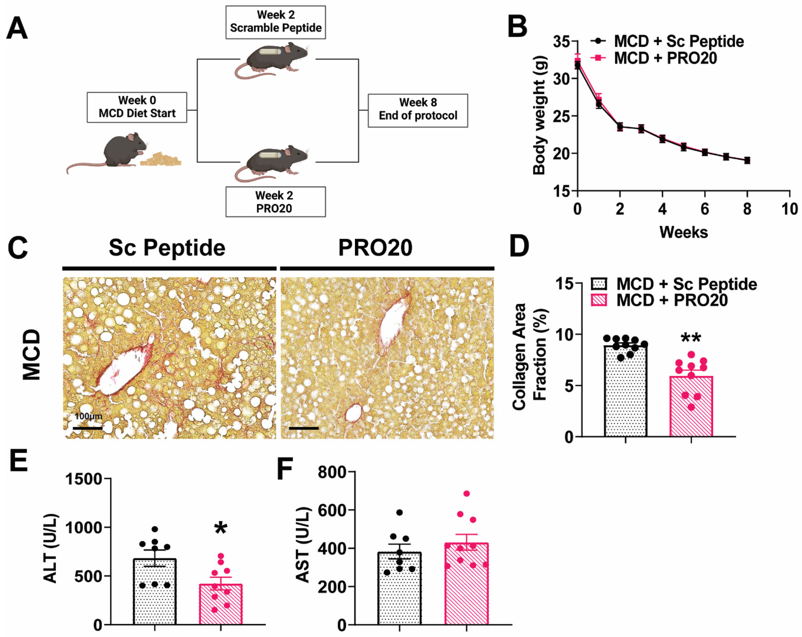 Biomolecules 13 00142 g003 Biomolecules 13 00142 g003