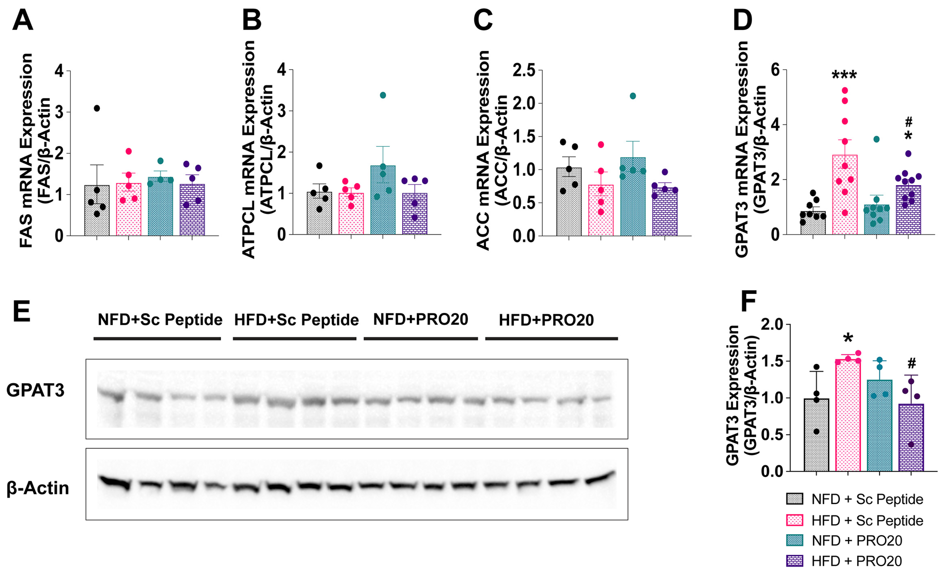 Biomolecules 13 00142 g005 Biomolecules 13 00142 g005