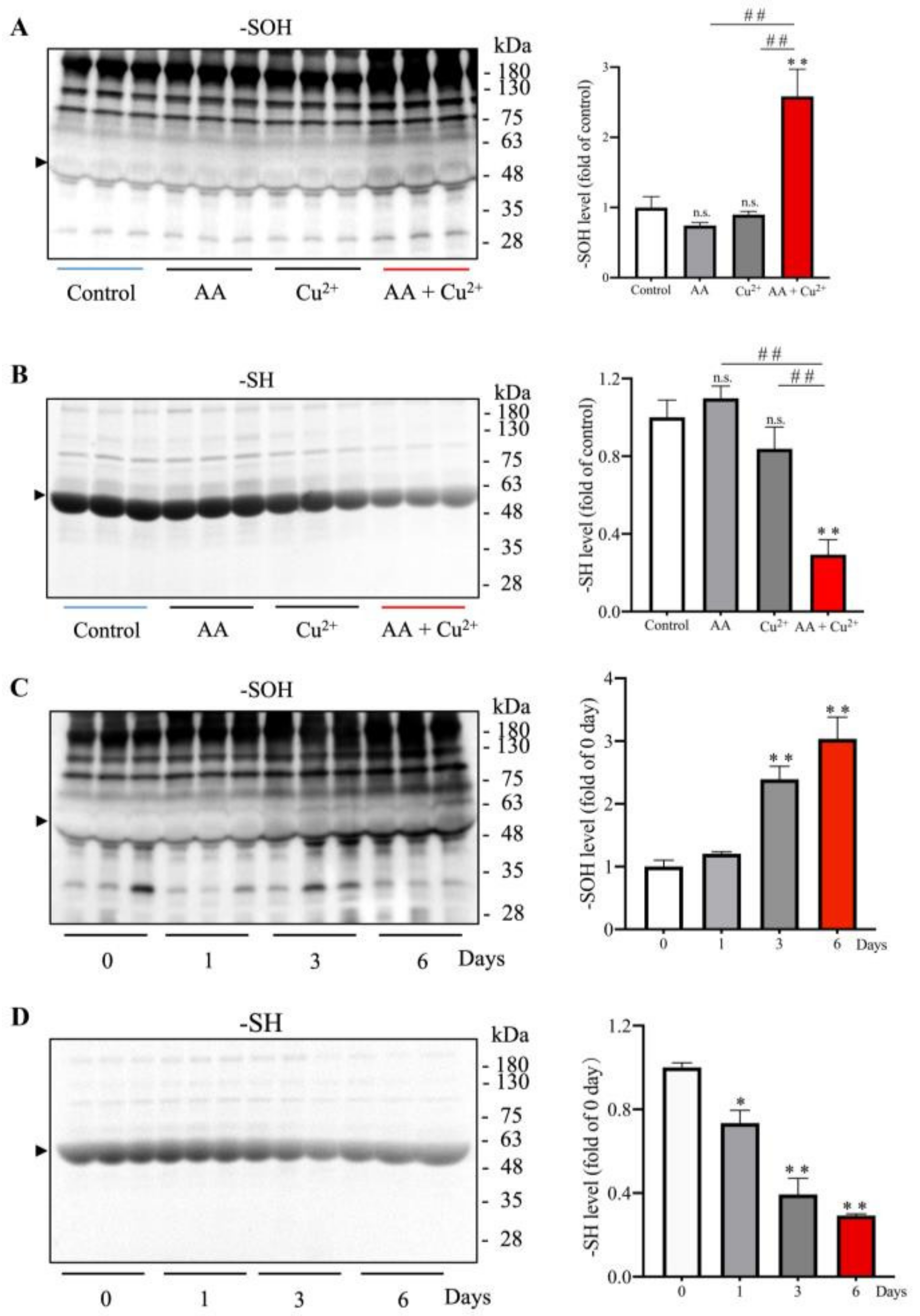 Biomolecules 13 00143 g001 Biomolecules 13 00143 g001