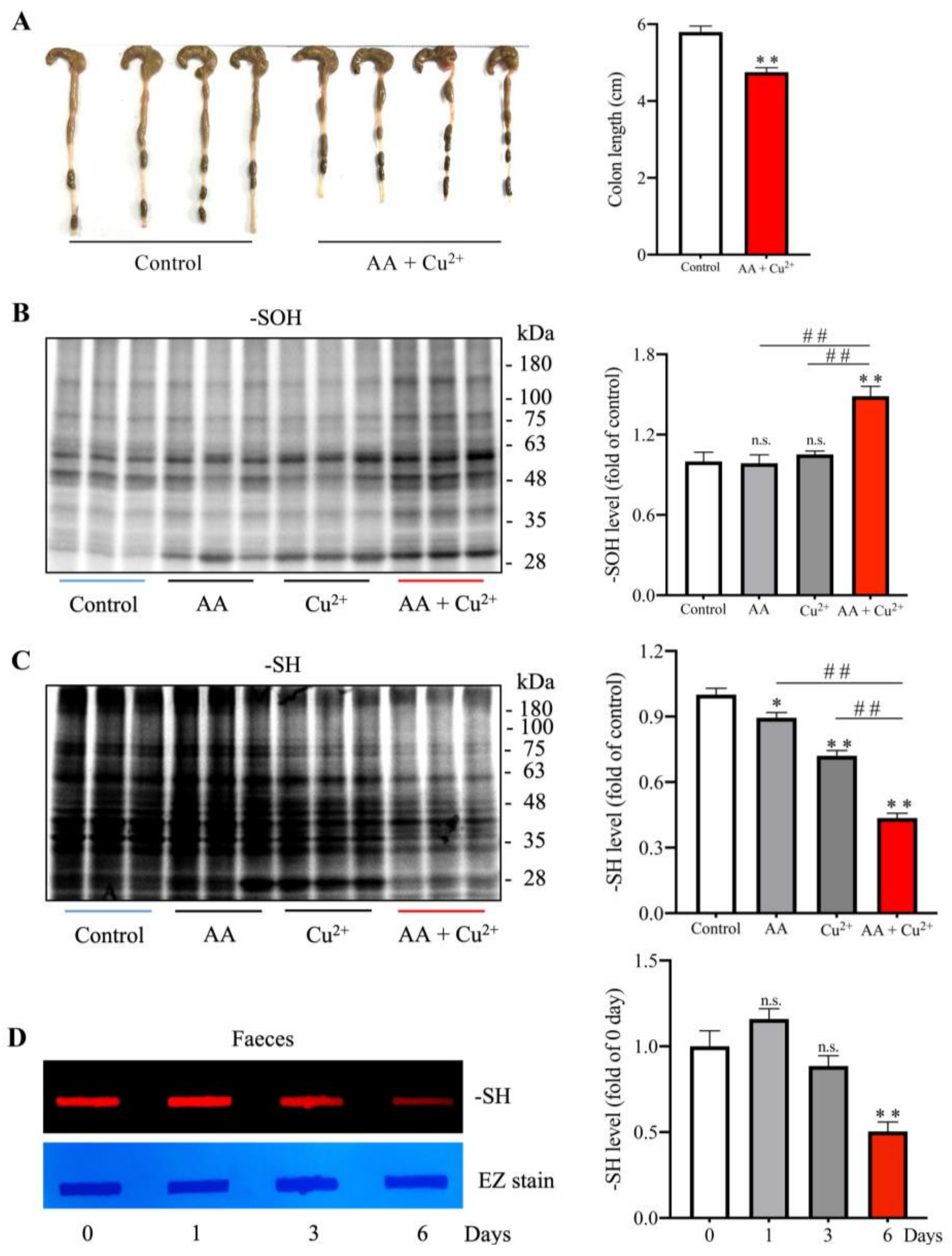 Biomolecules 13 00143 g002 Biomolecules 13 00143 g002