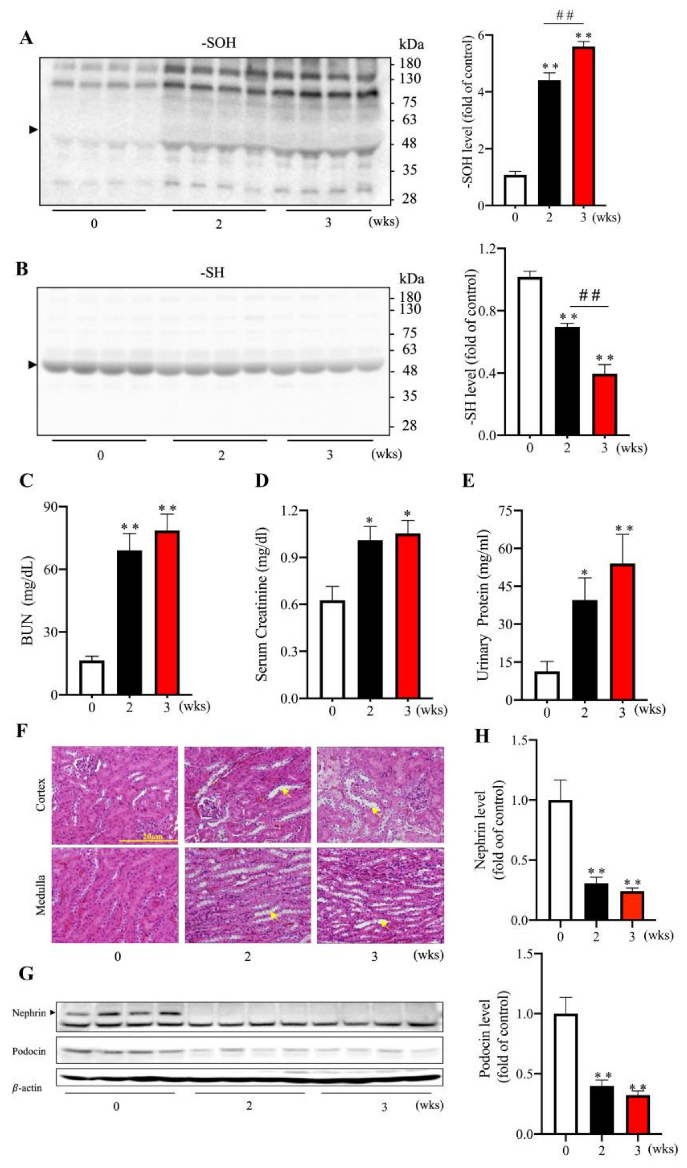 Biomolecules 13 00143 g005 Biomolecules 13 00143 g005