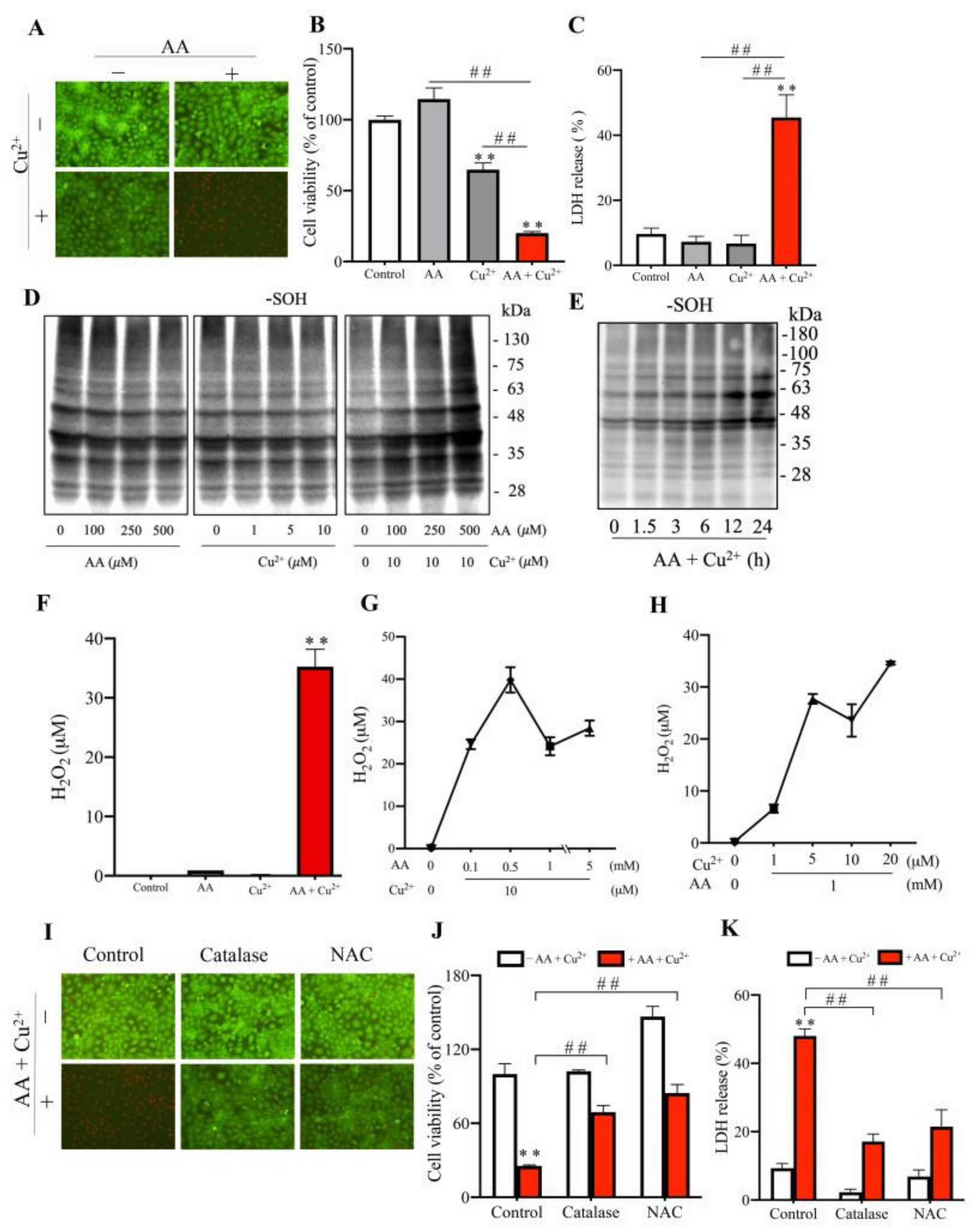 Biomolecules 13 00143 g006 Biomolecules 13 00143 g006