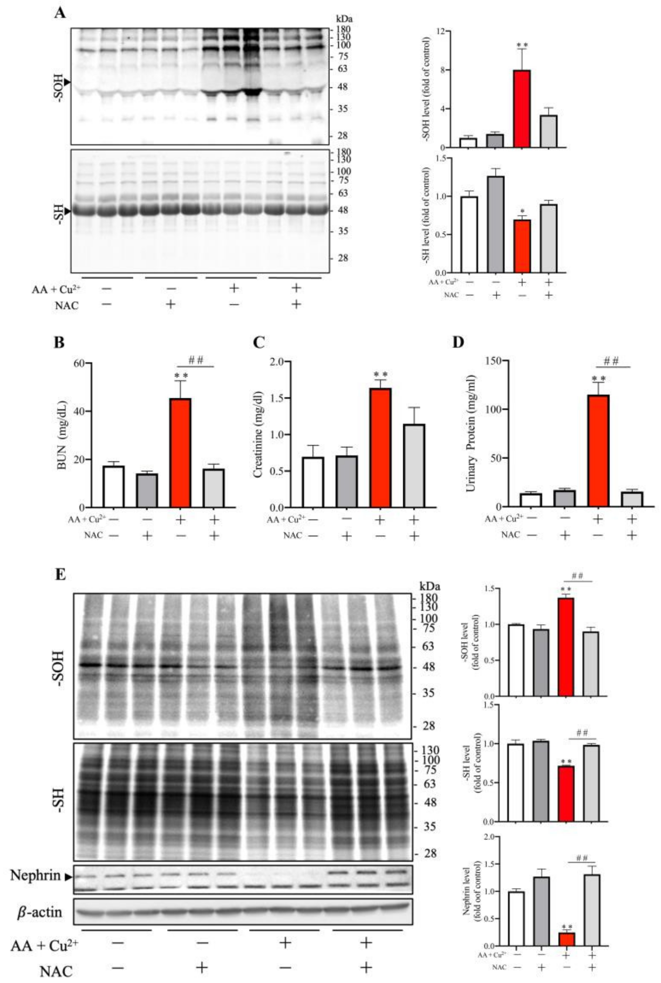 Biomolecules 13 00143 g007 Biomolecules 13 00143 g007