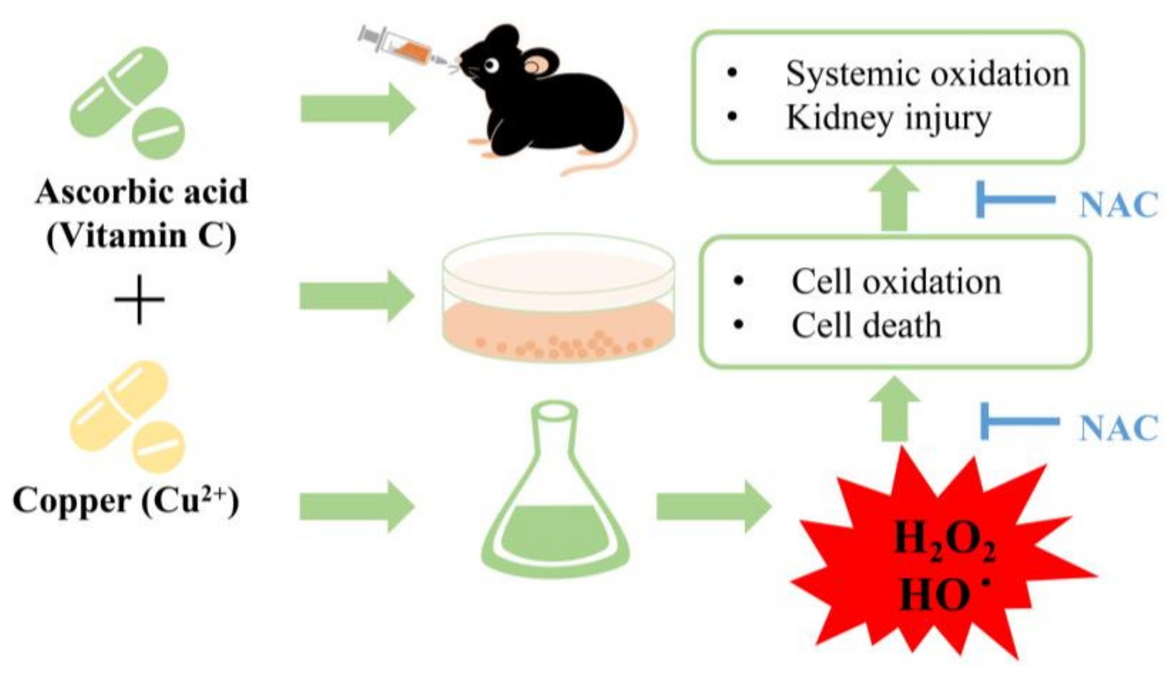 Biomolecules 13 00143 g008 Biomolecules 13 00143 g008