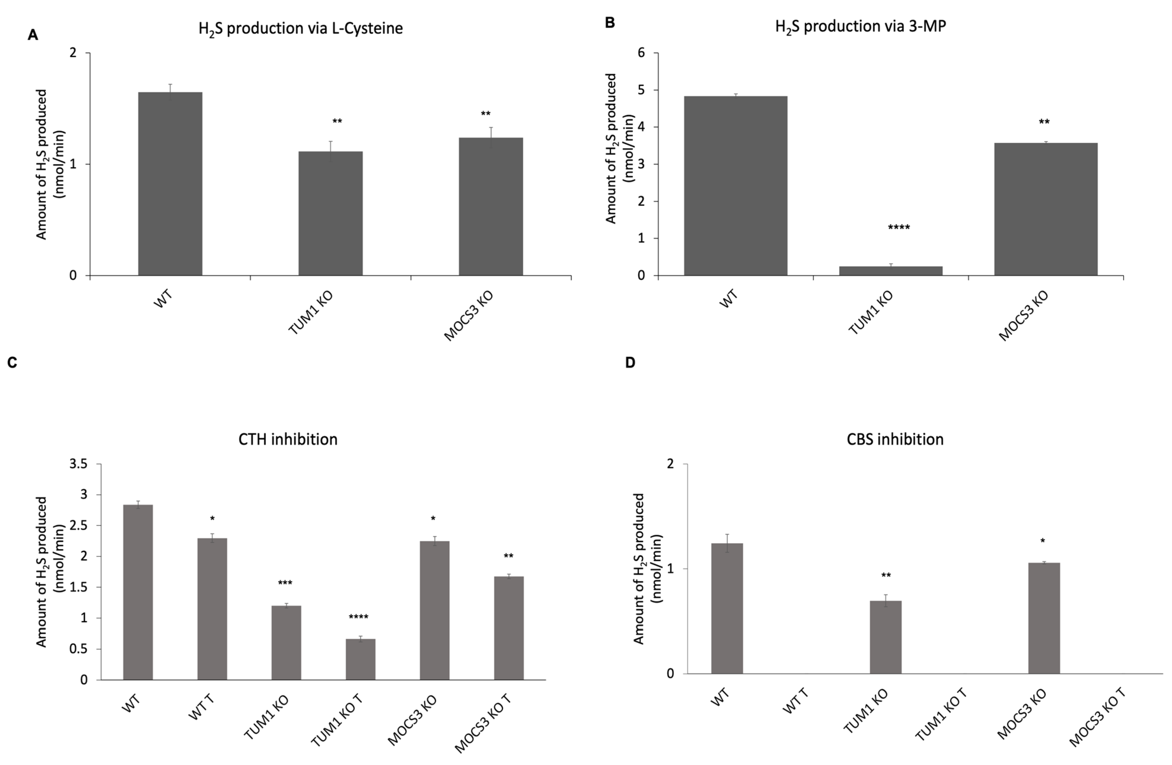 Biomolecules Free FullText The Human Mercaptopyruvate