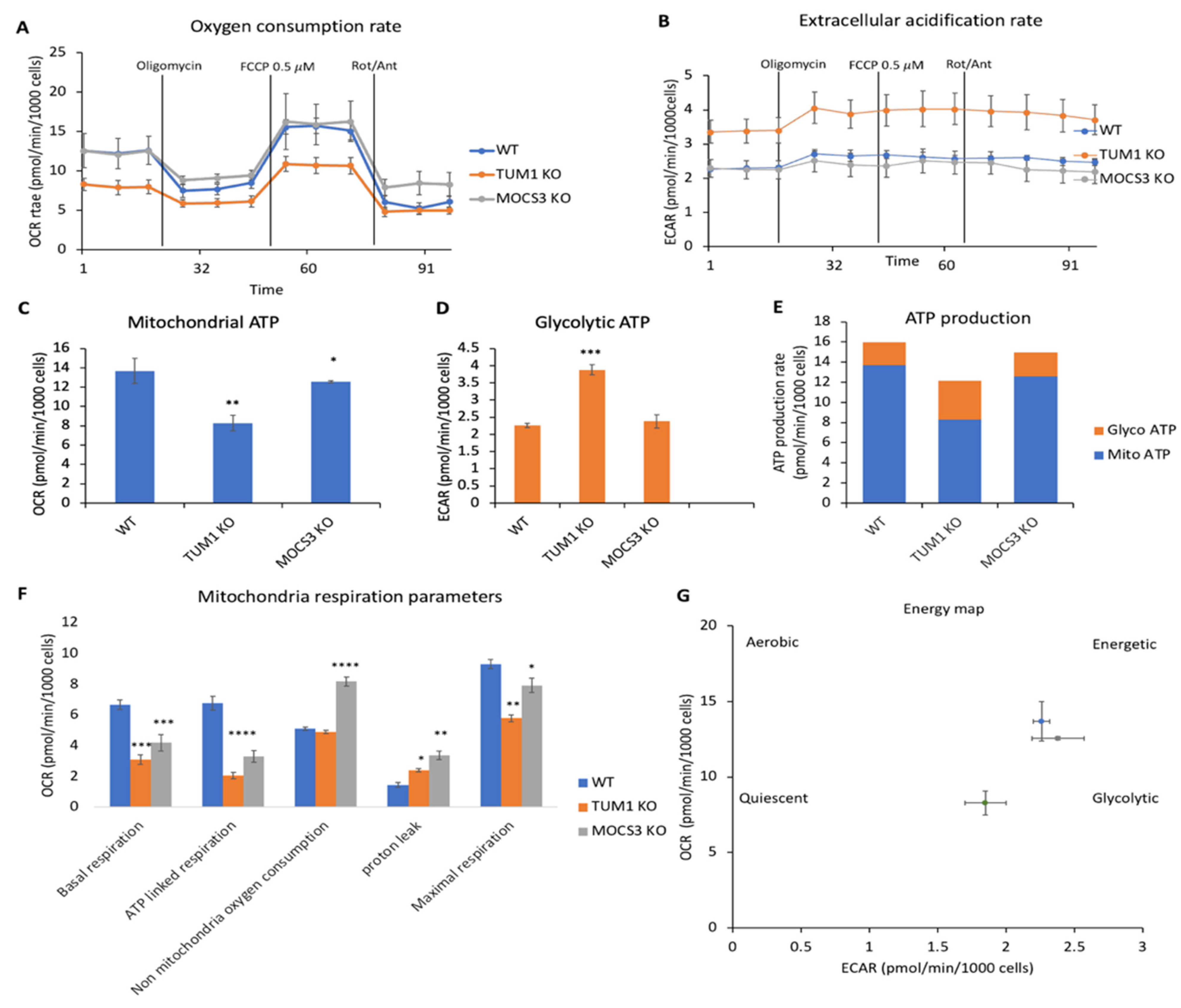 Biomolecules 13 00144 g007 Biomolecules 13 00144 g007