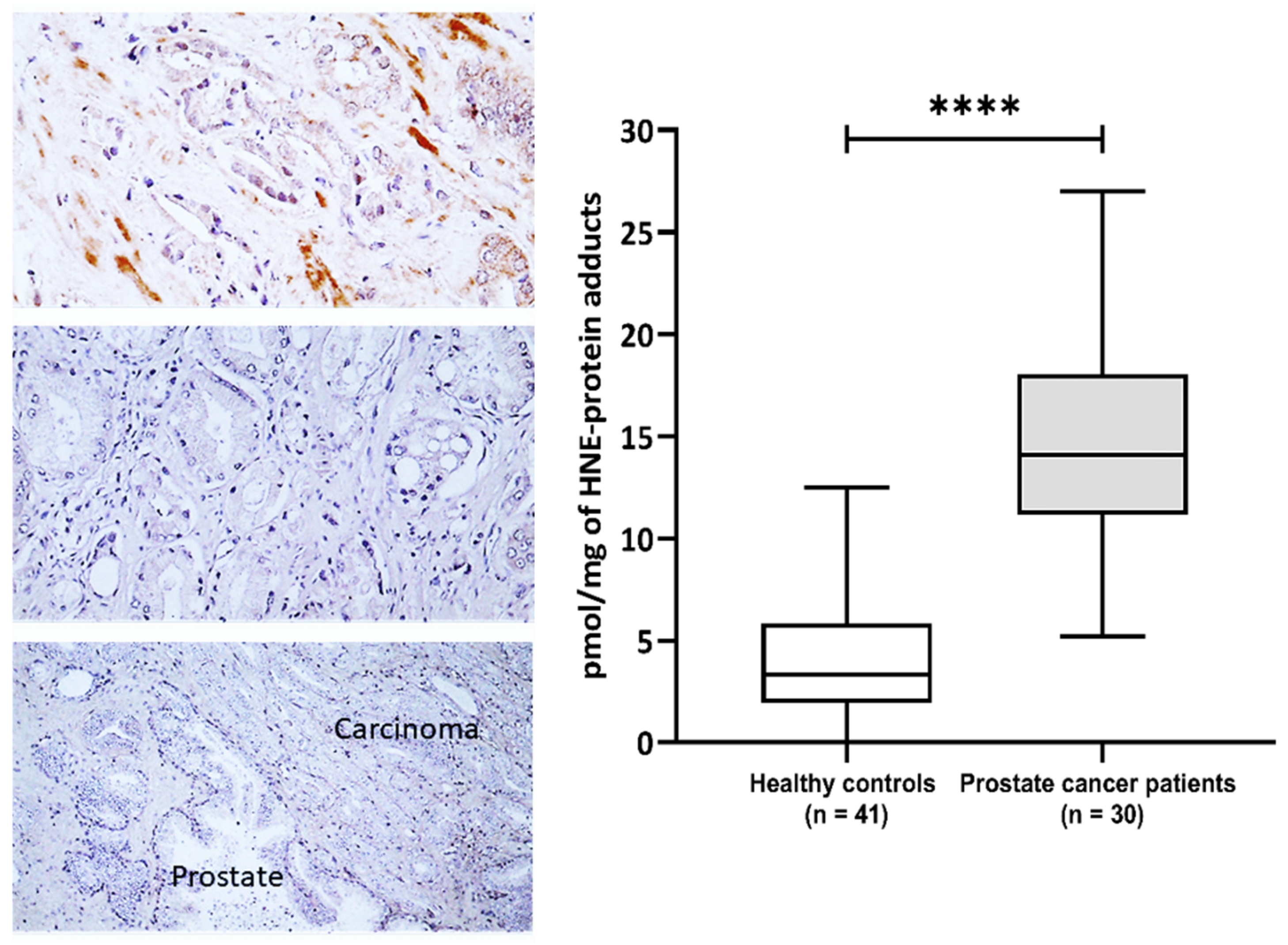 Biomolecules 13 00145 g001