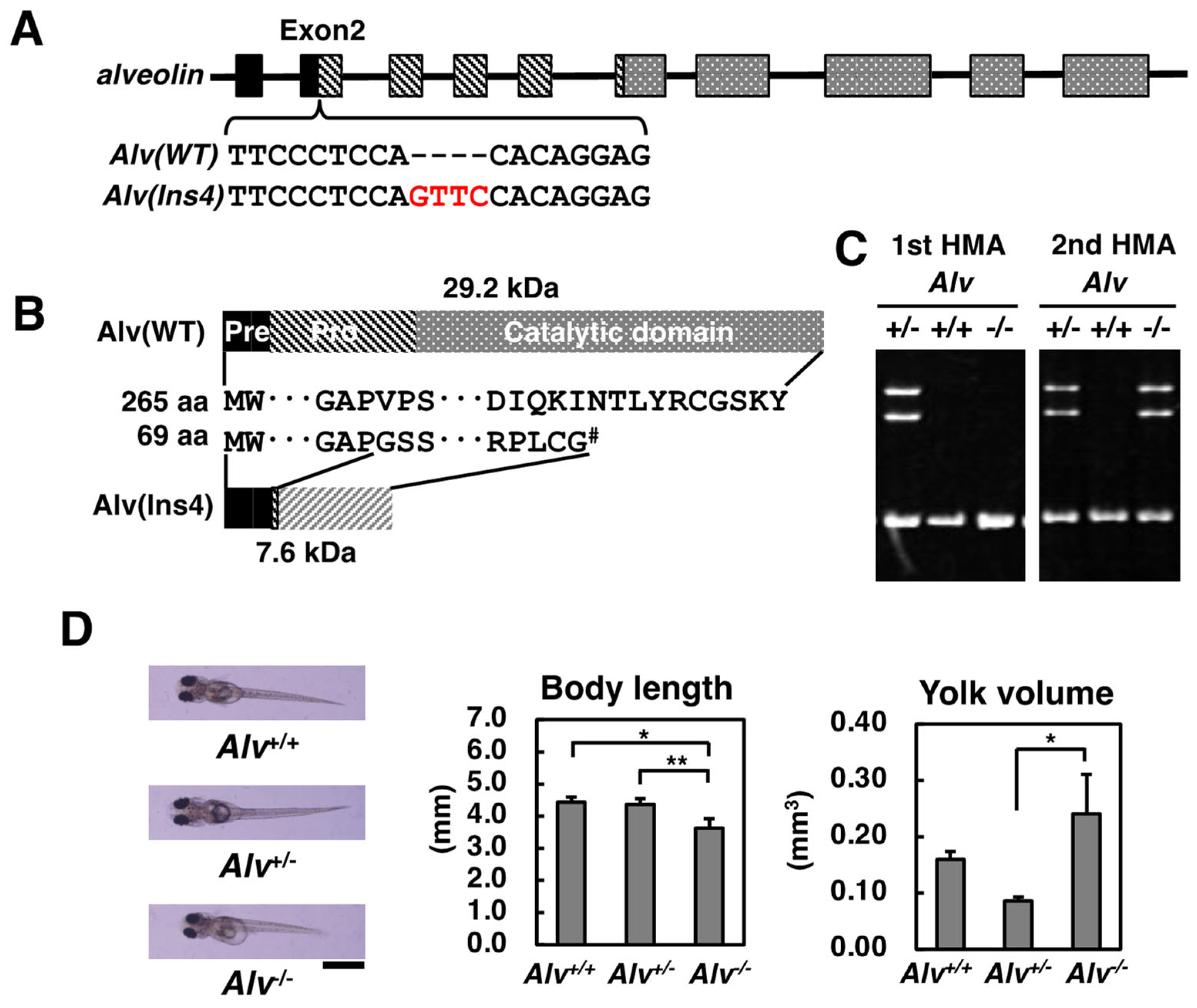 Biomolecules 13 00146 g001