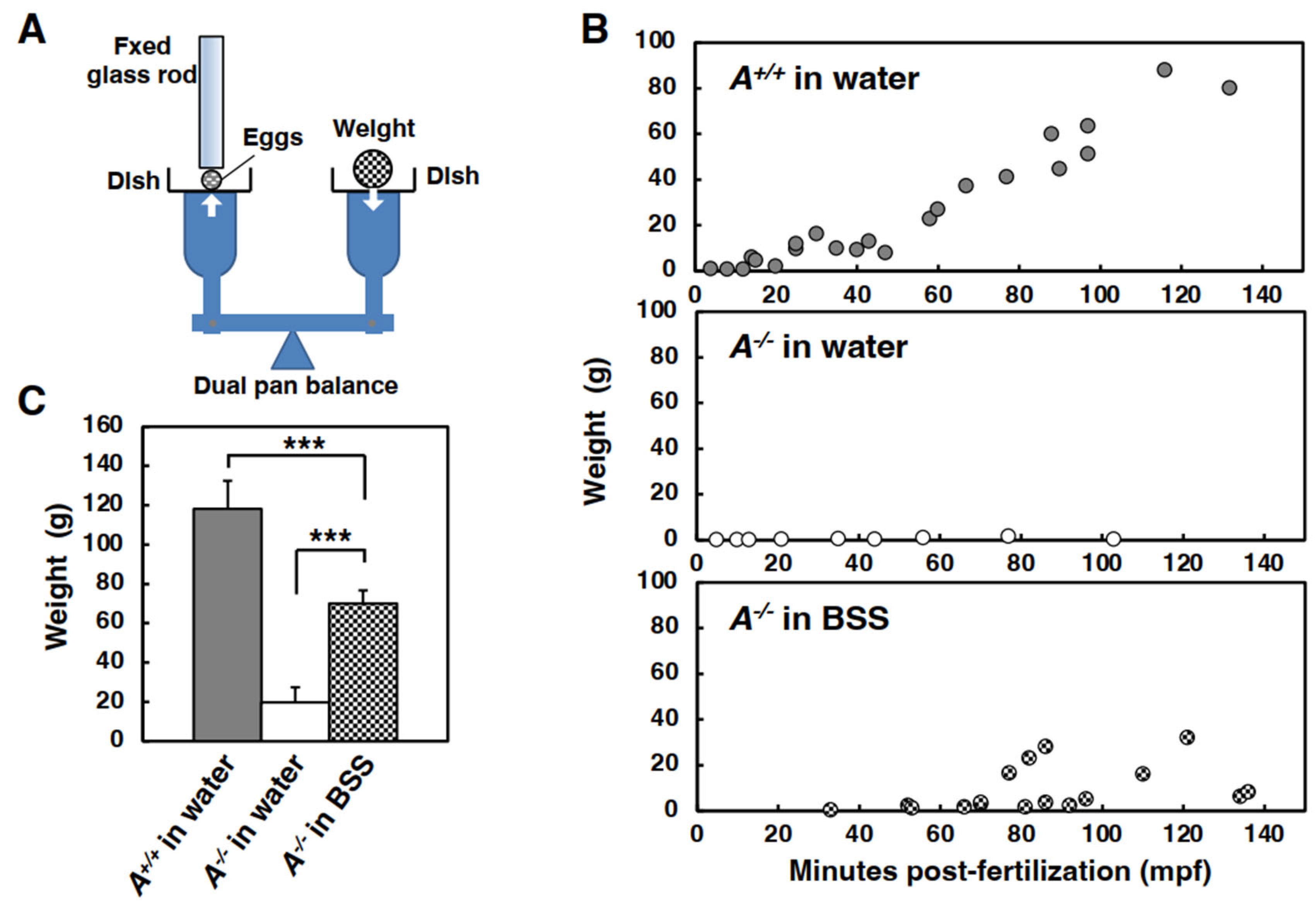 Biomolecules 13 00146 g004