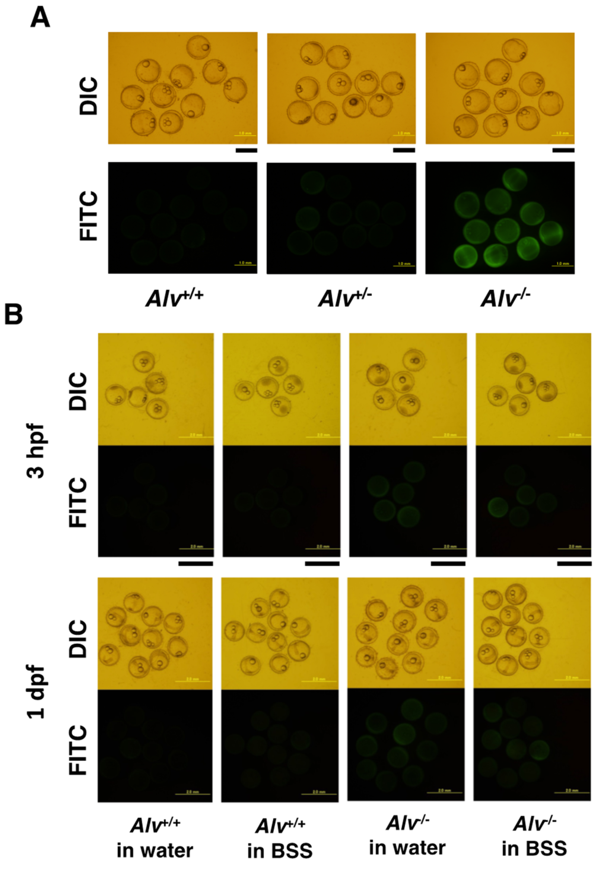 Biomolecules 13 00146 g005