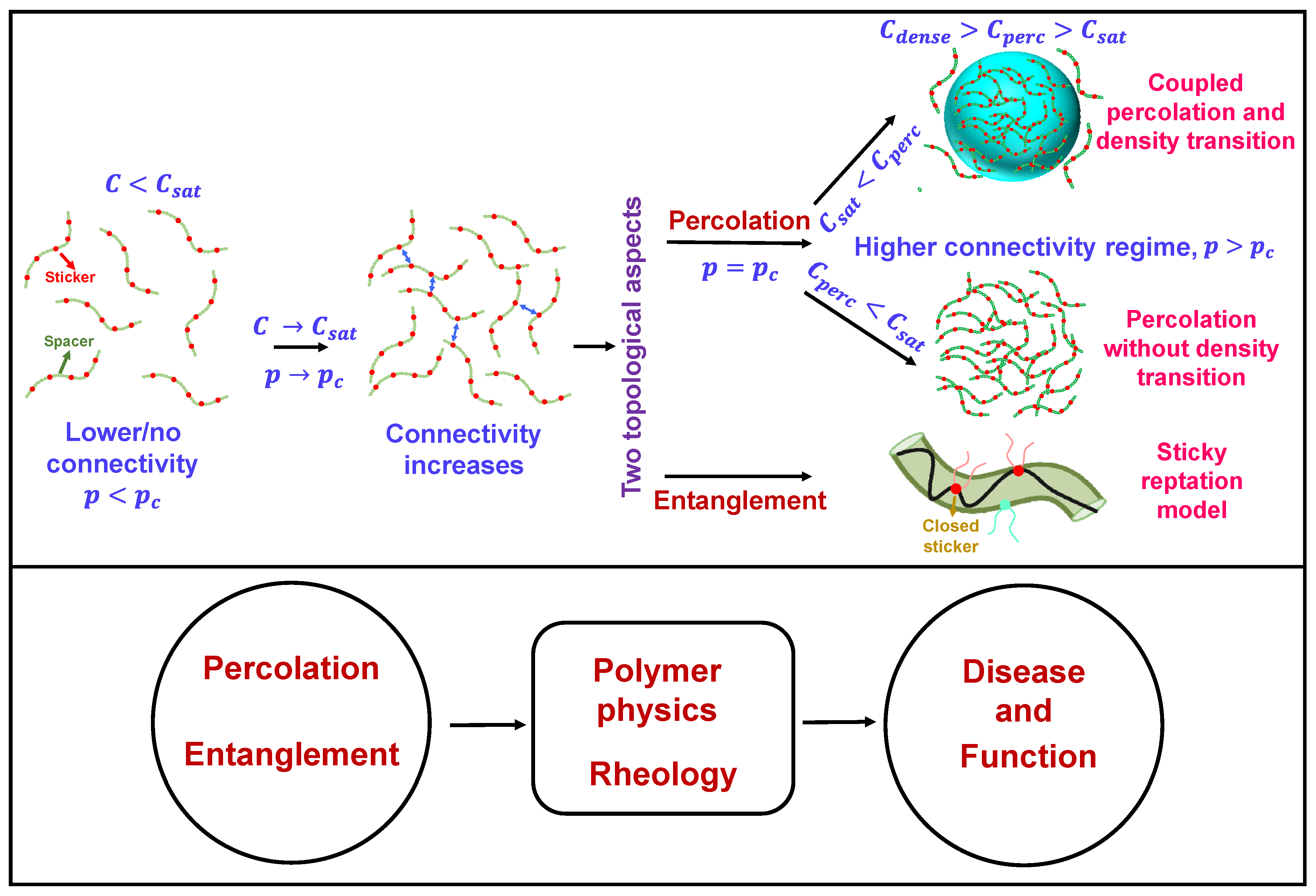 Biomolecules Free FullText Topological Considerations in
