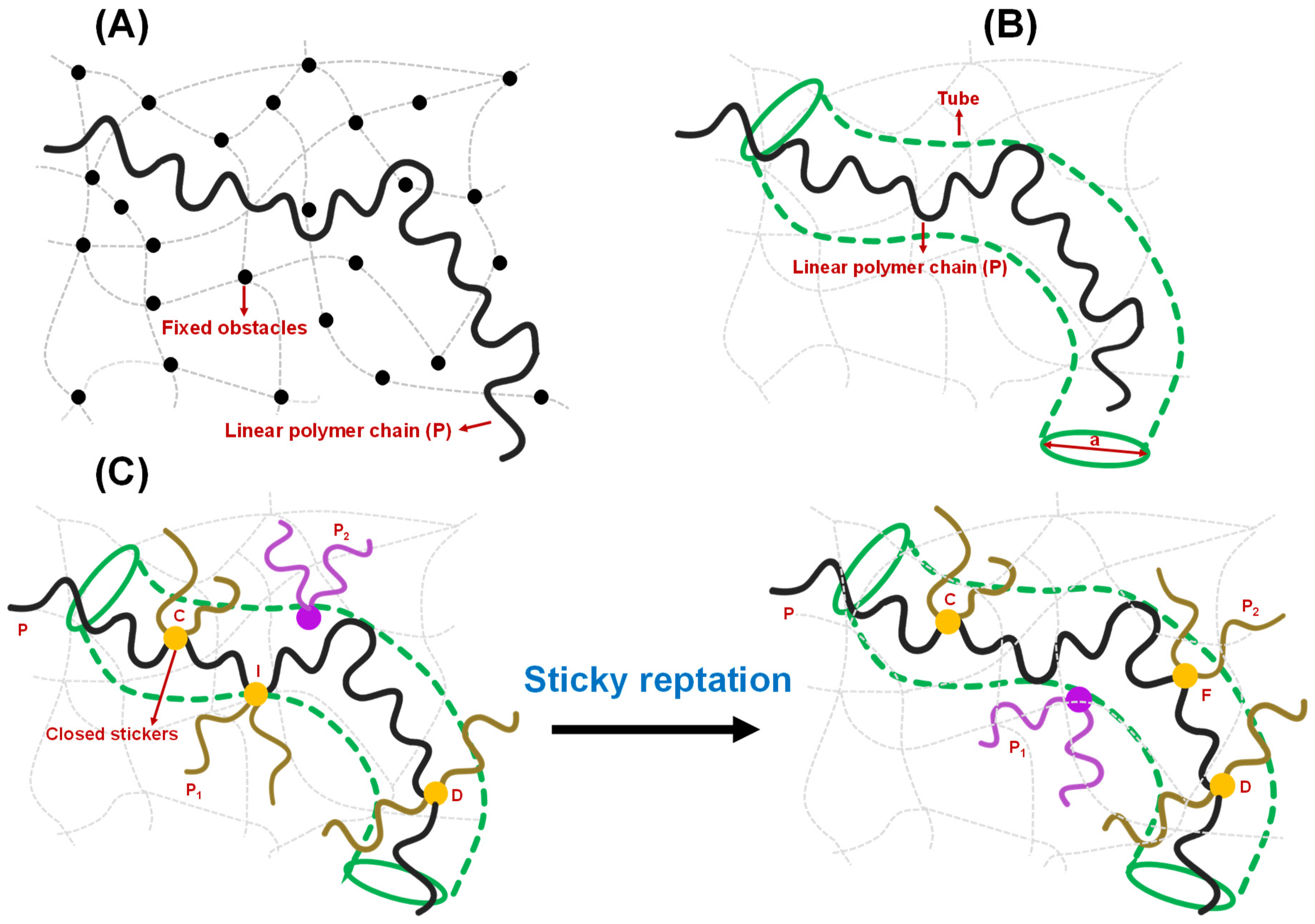Biomolecules 13 00151 g004 Biomolecules 13 00151 g004