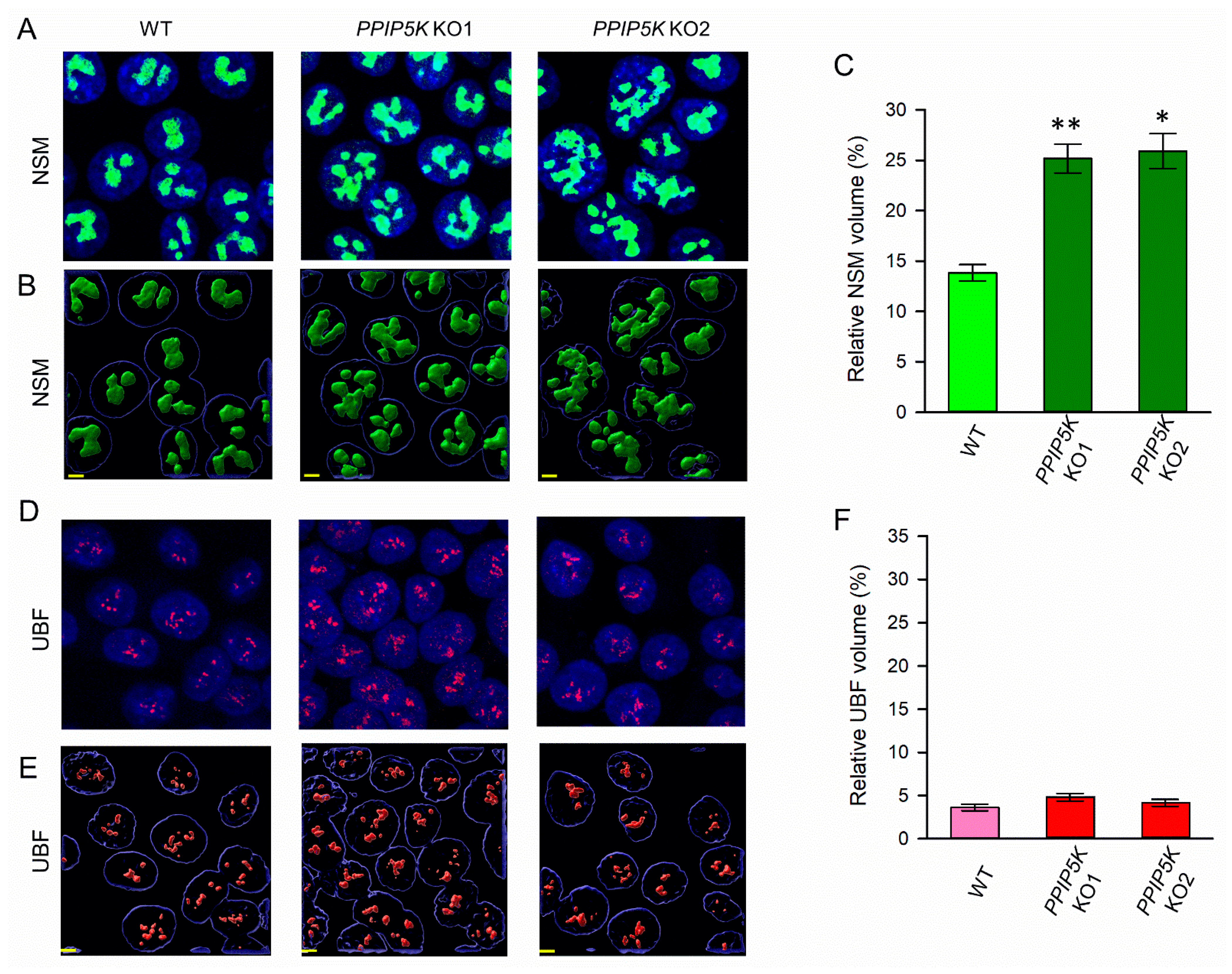 Biomolecules 13 00153 g002 Biomolecules 13 00153 g002