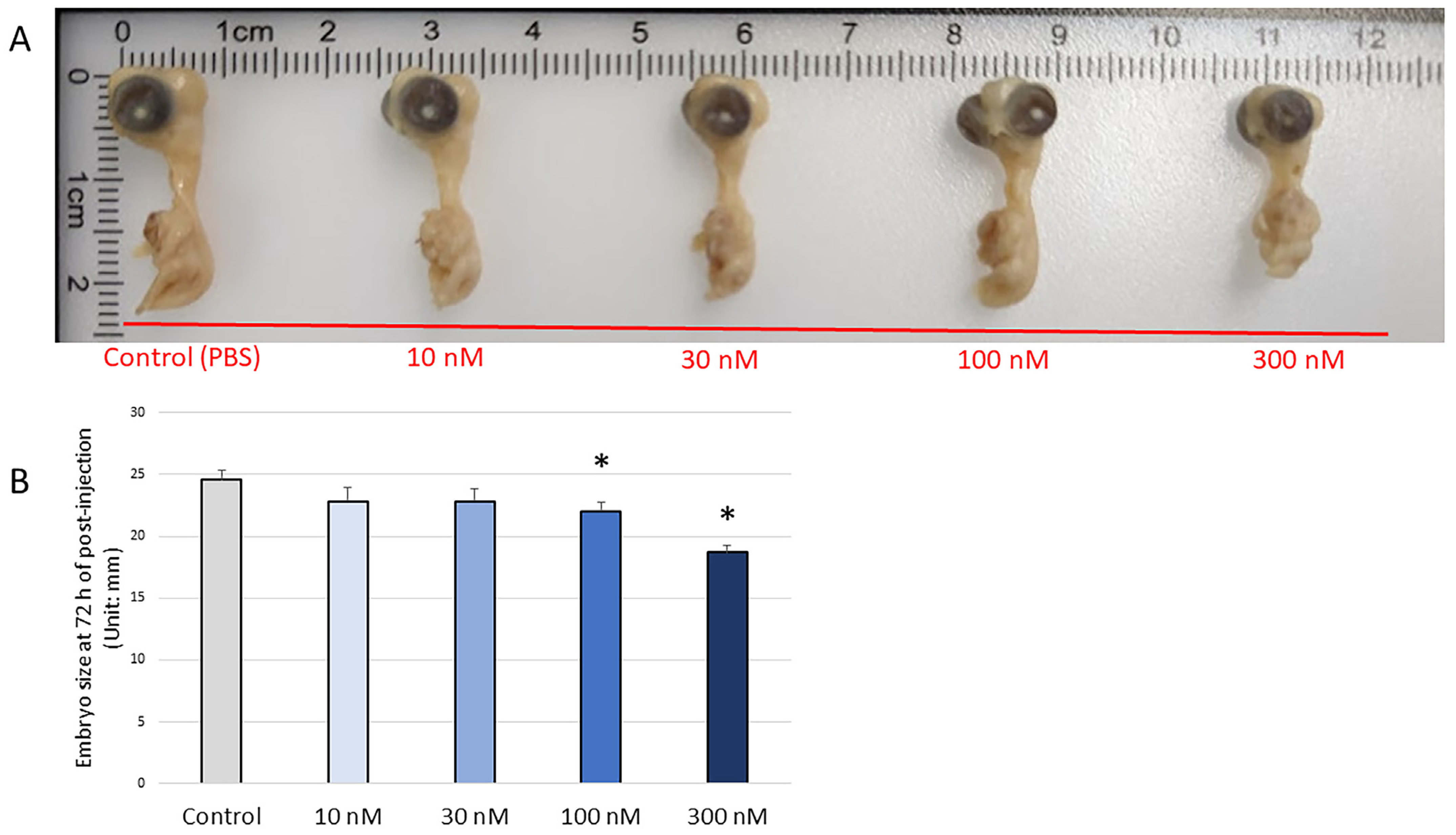 Biomolecules 13 00154 g008
