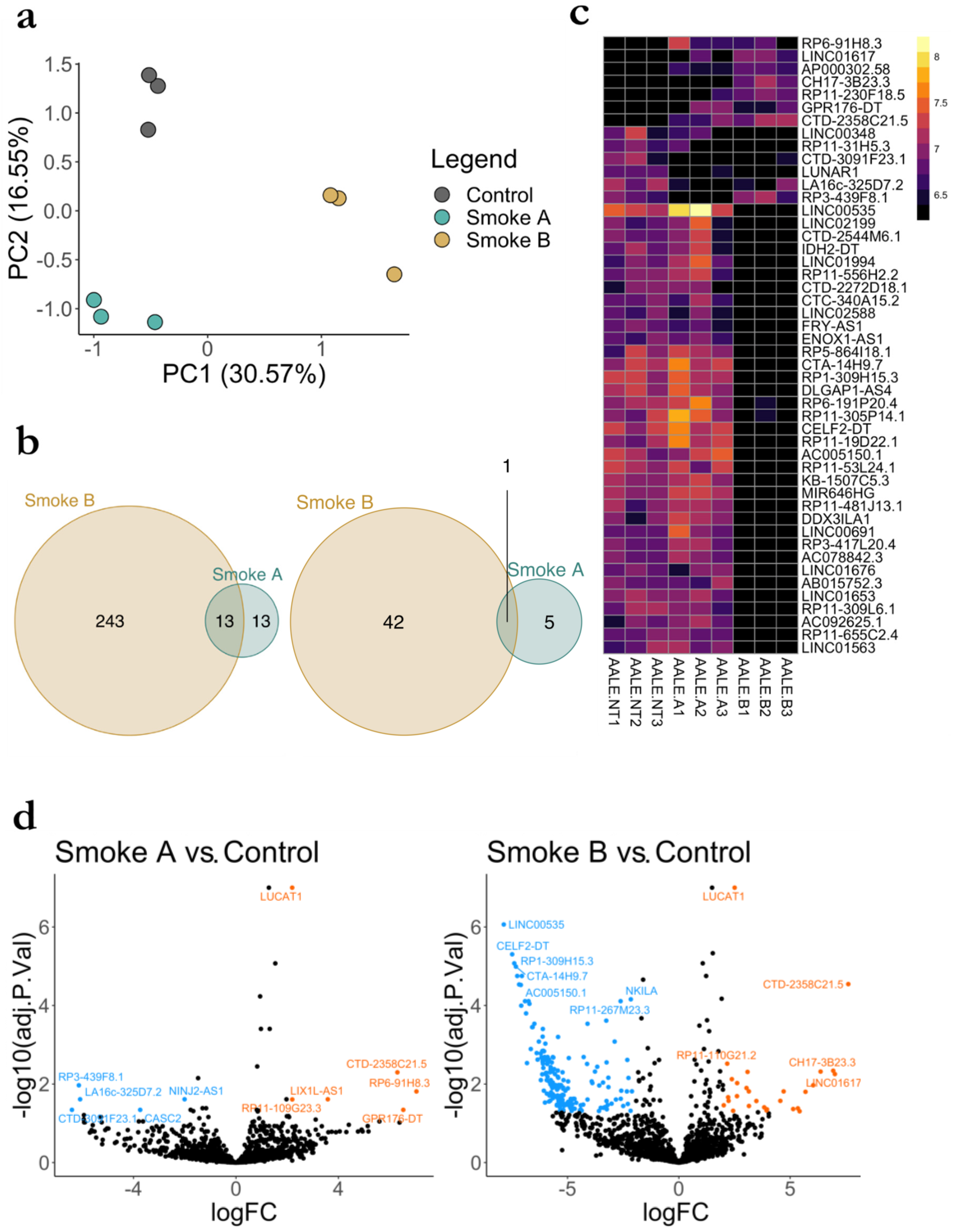Biomolecules 13 00155 g002 Biomolecules 13 00155 g002