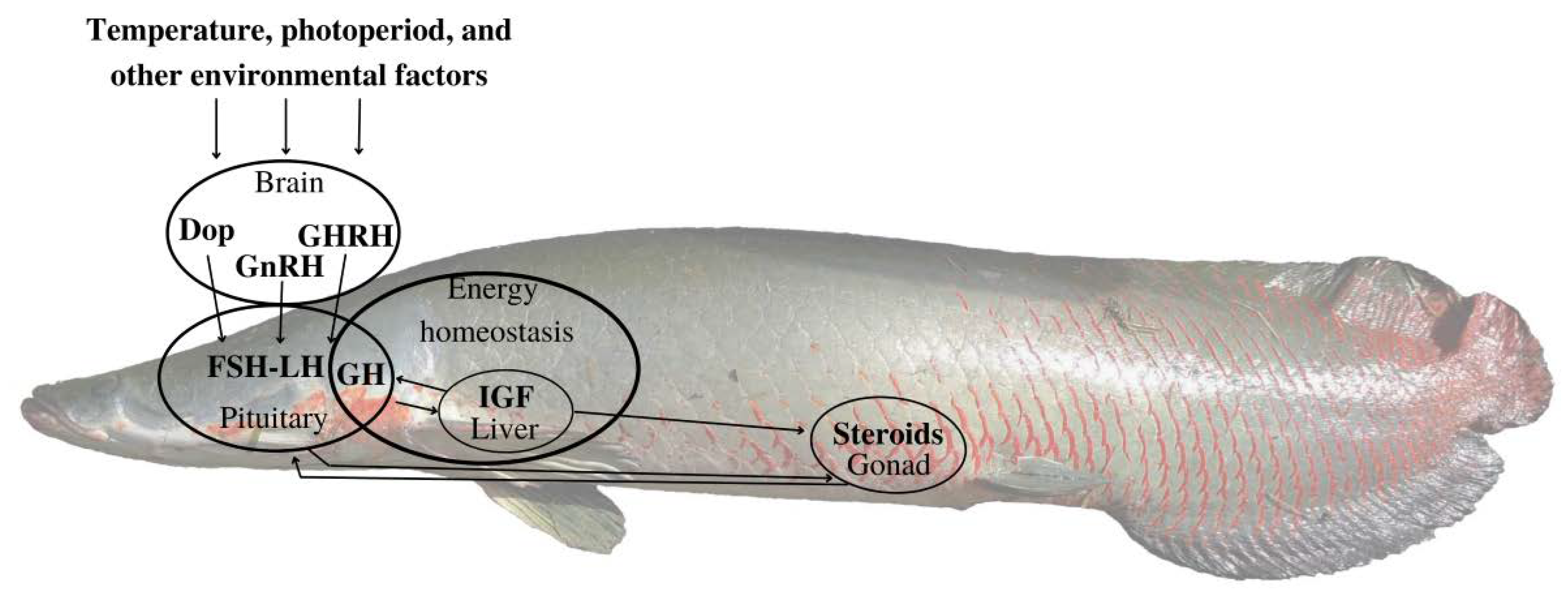 Biomolecules 13 00158 g001