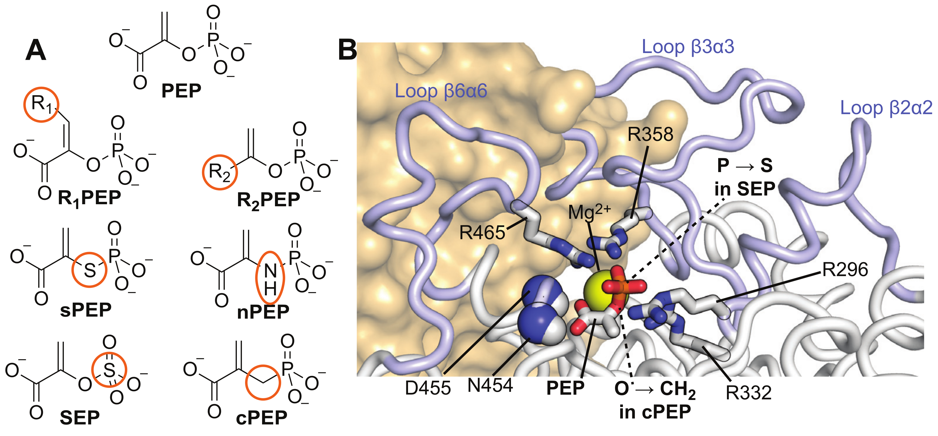 Biomolecules 13 00160 g001