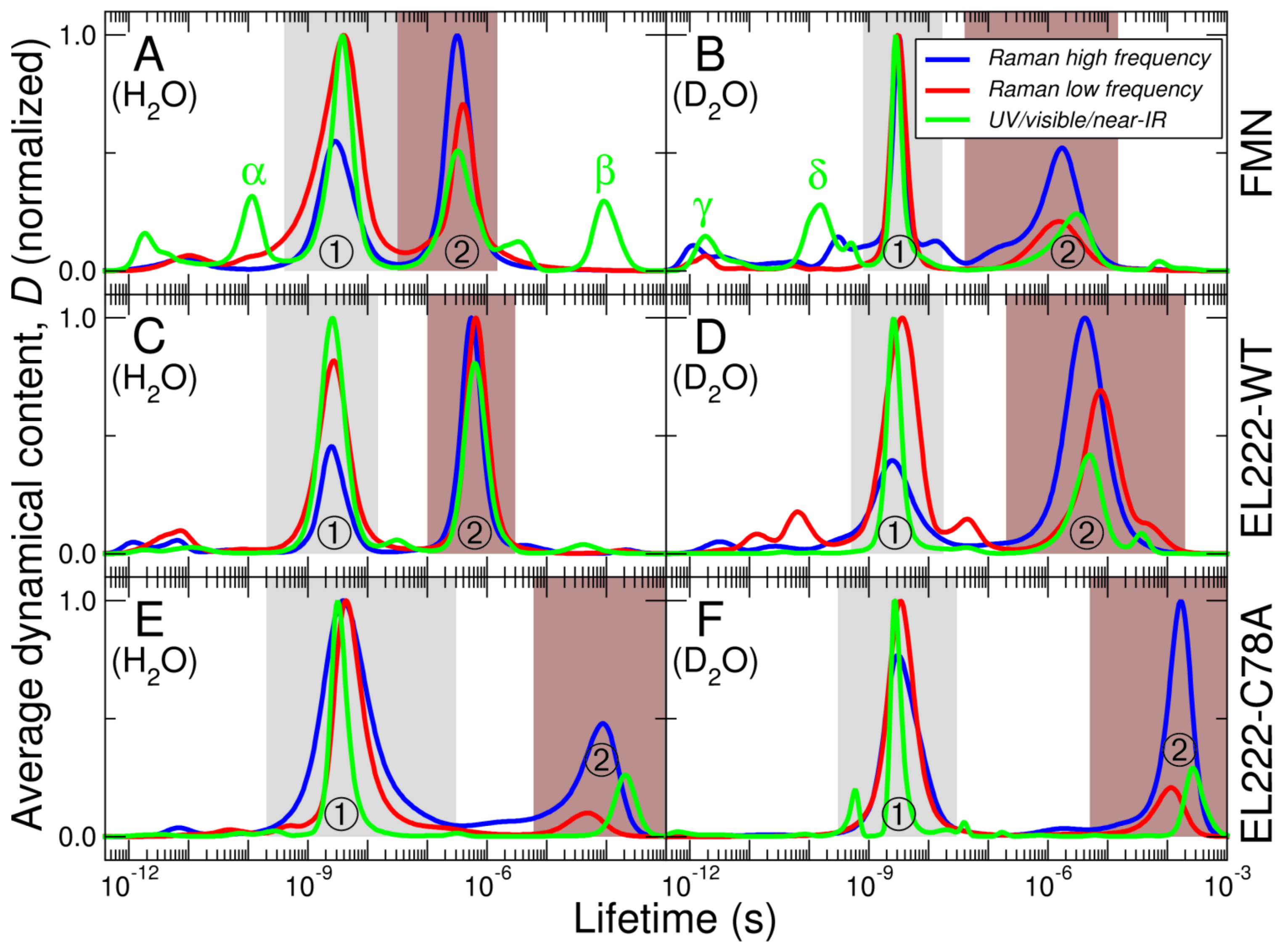 Biomolecules 13 00161 g004 Biomolecules 13 00161 g004