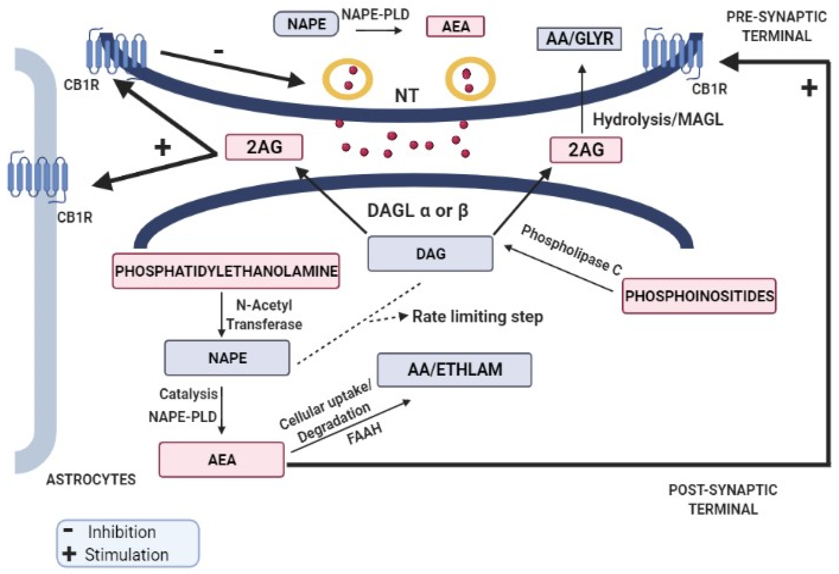 Biomolecules 13 00162 g001 Biomolecules 13 00162 g001