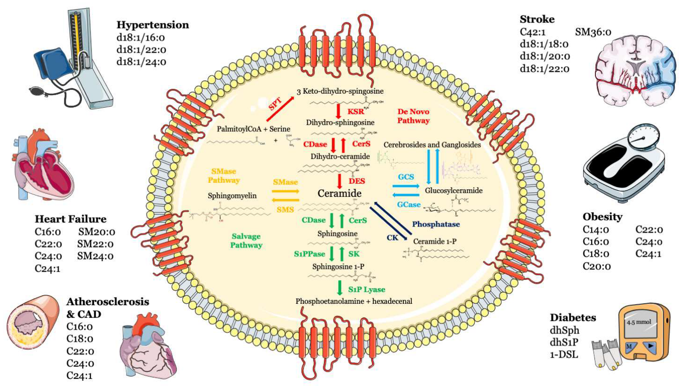 Biomolecules 13 00168 g001 Biomolecules 13 00168 g001
