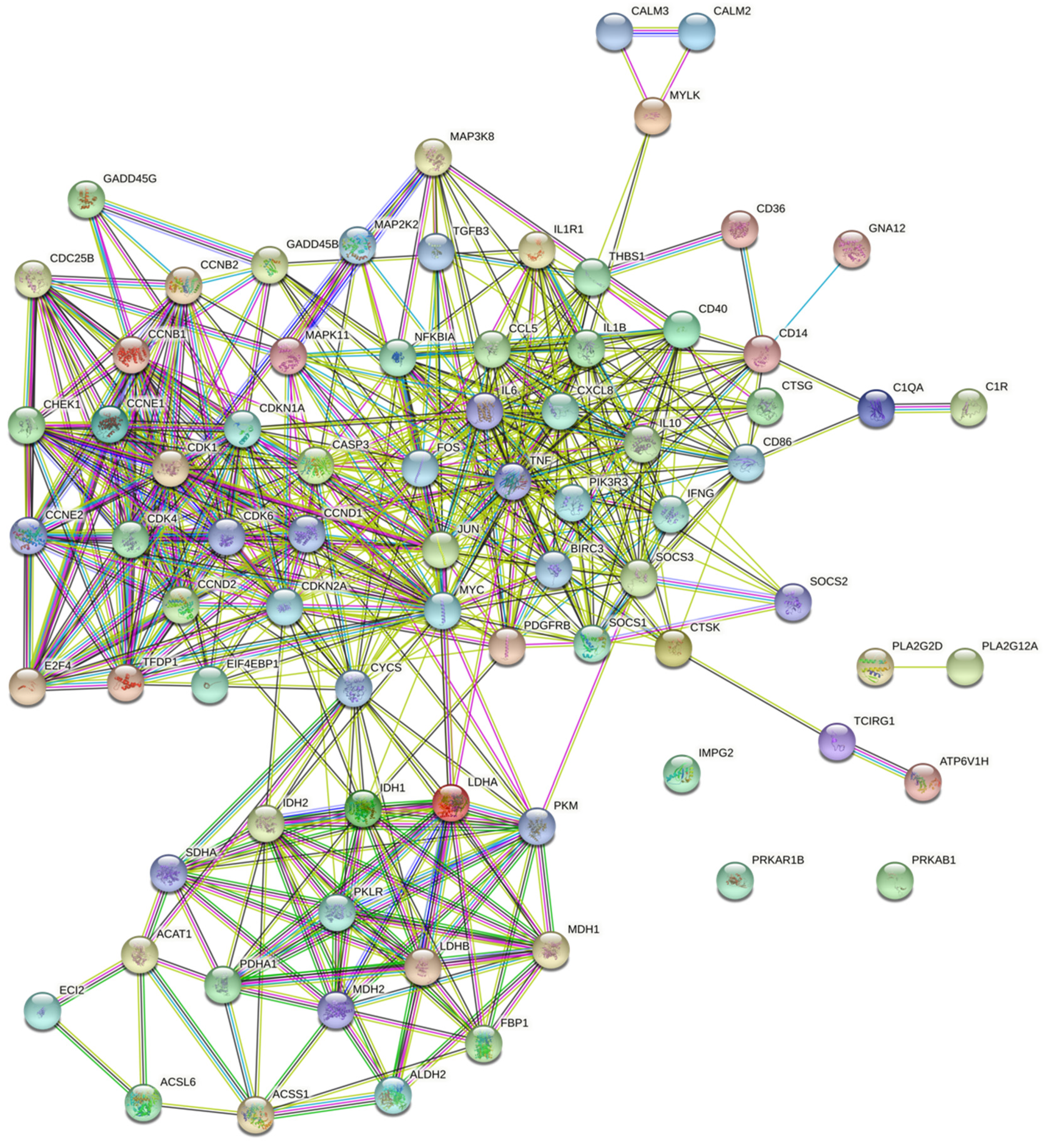 Biomolecules 13 00171 g005 Biomolecules 13 00171 g005