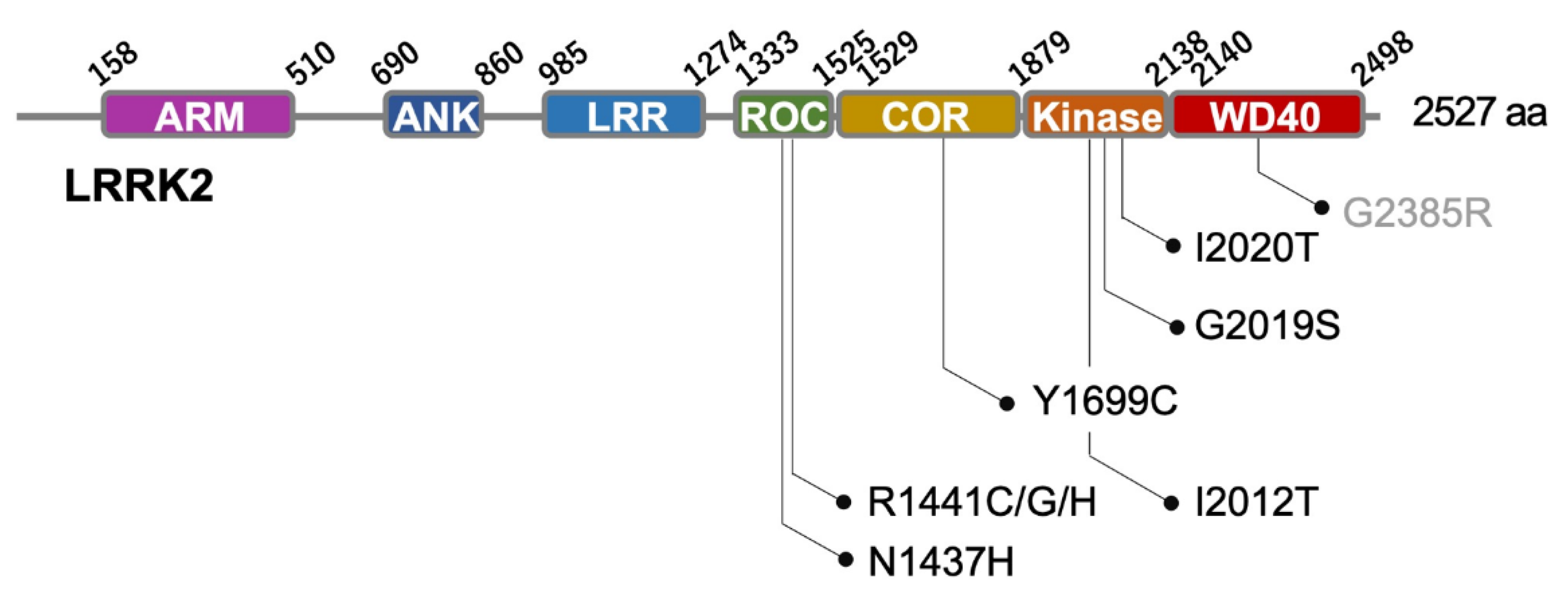 Biomolecules 13 00178 g001
