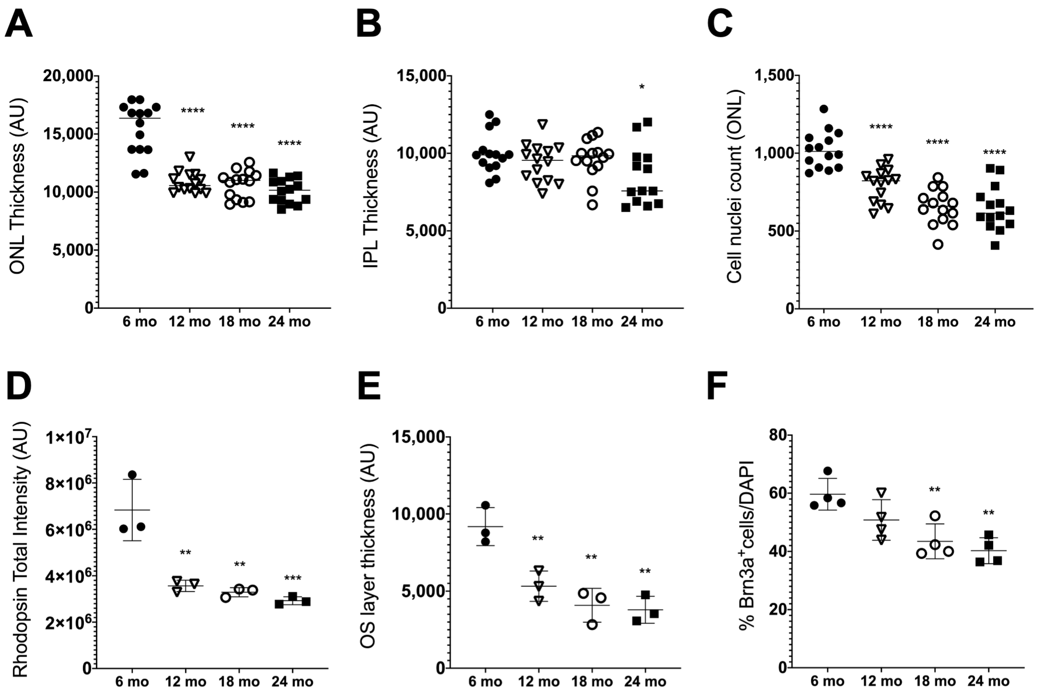 Biomolecules 13 00180 g001